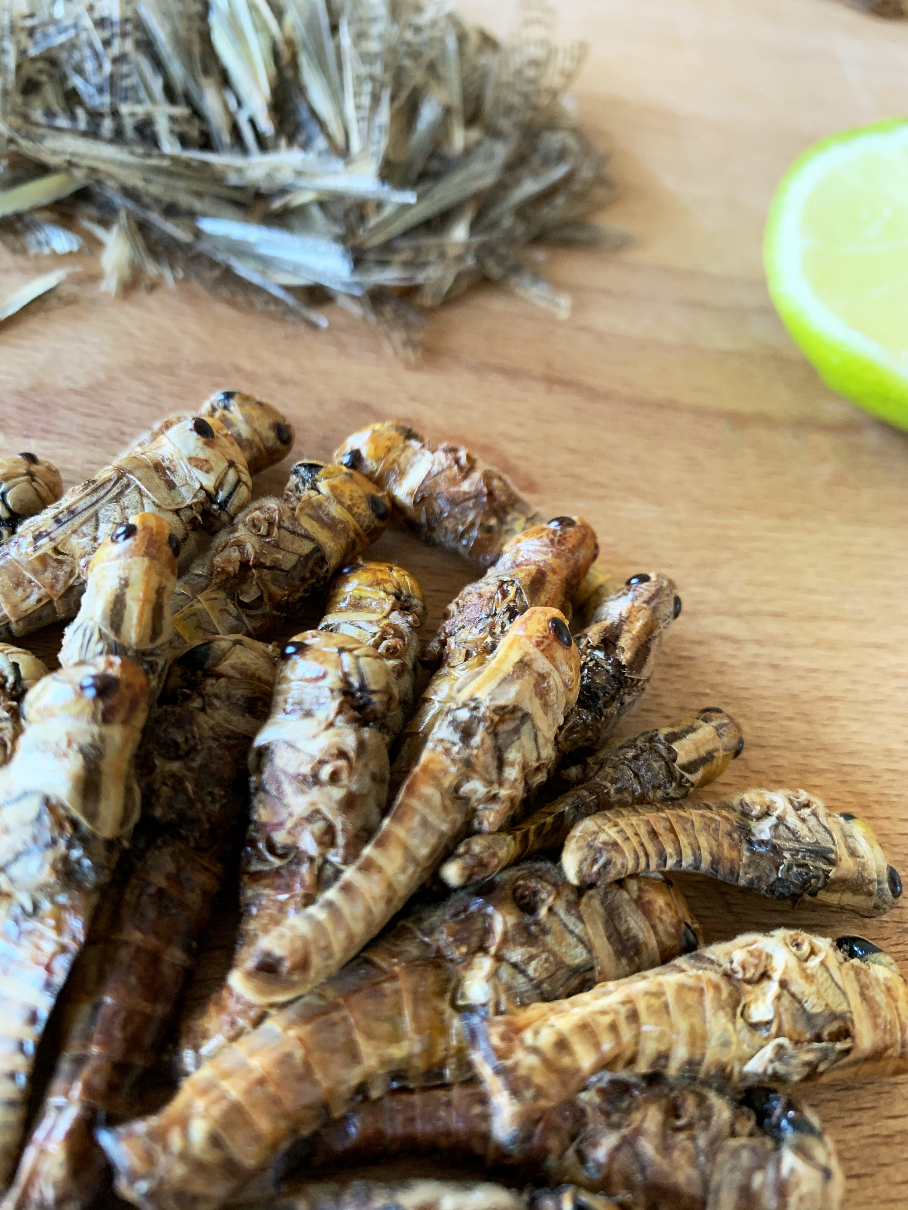 Grasshoppers ready to be cooked