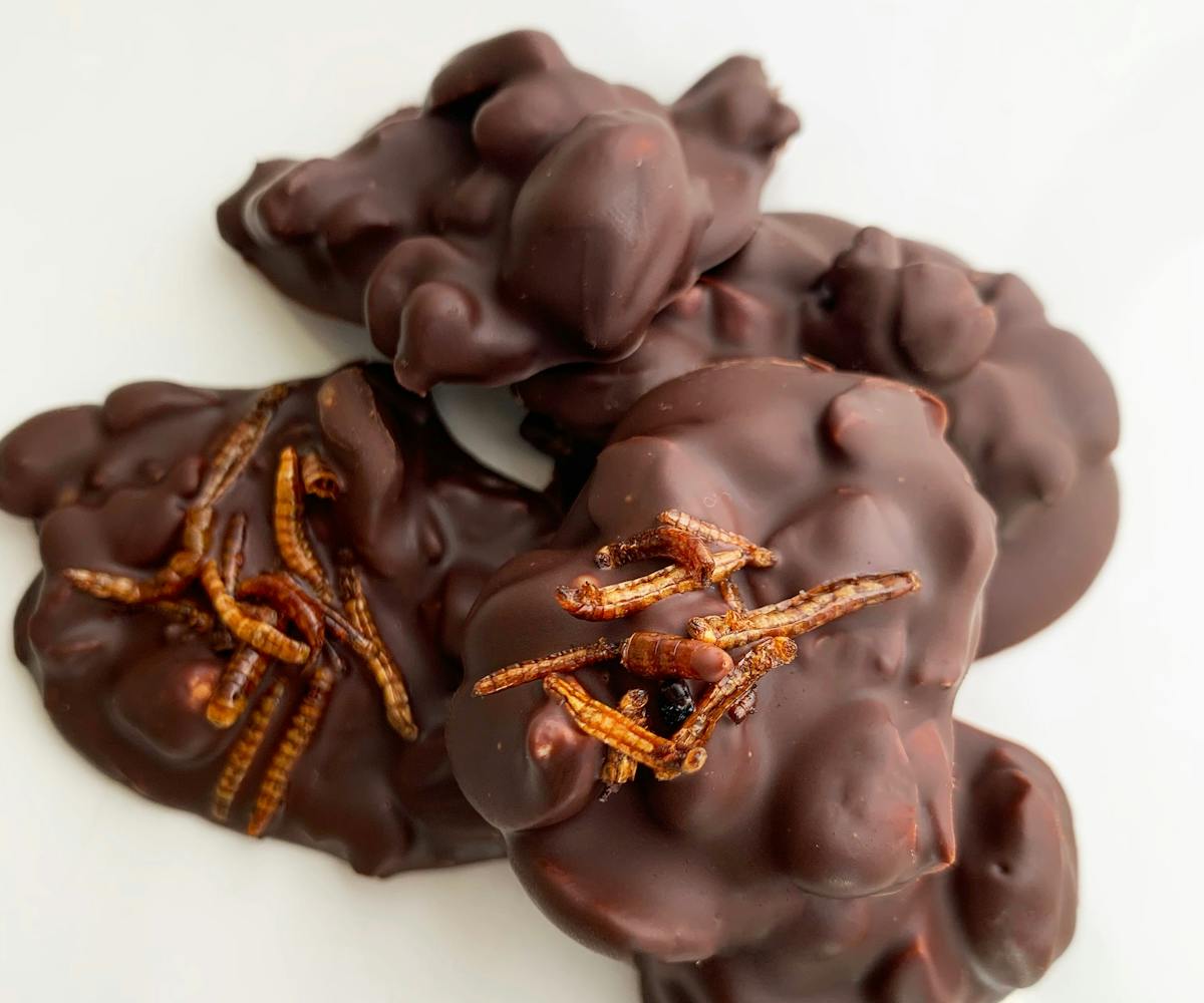 Top view of stacked mealworm peanut clusters