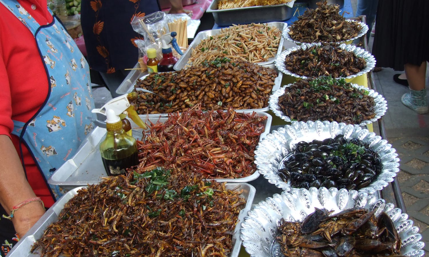 Market stall with insects in Thailand
