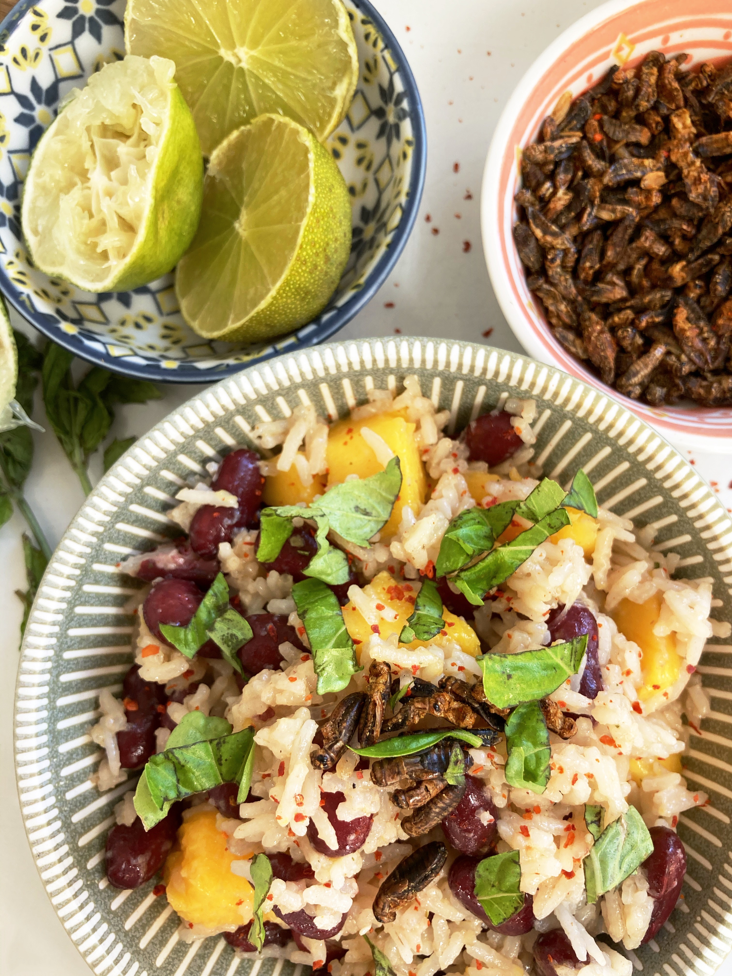 Thai Mango Sticky Rice with Roasted Insects and Lime in separate bowls