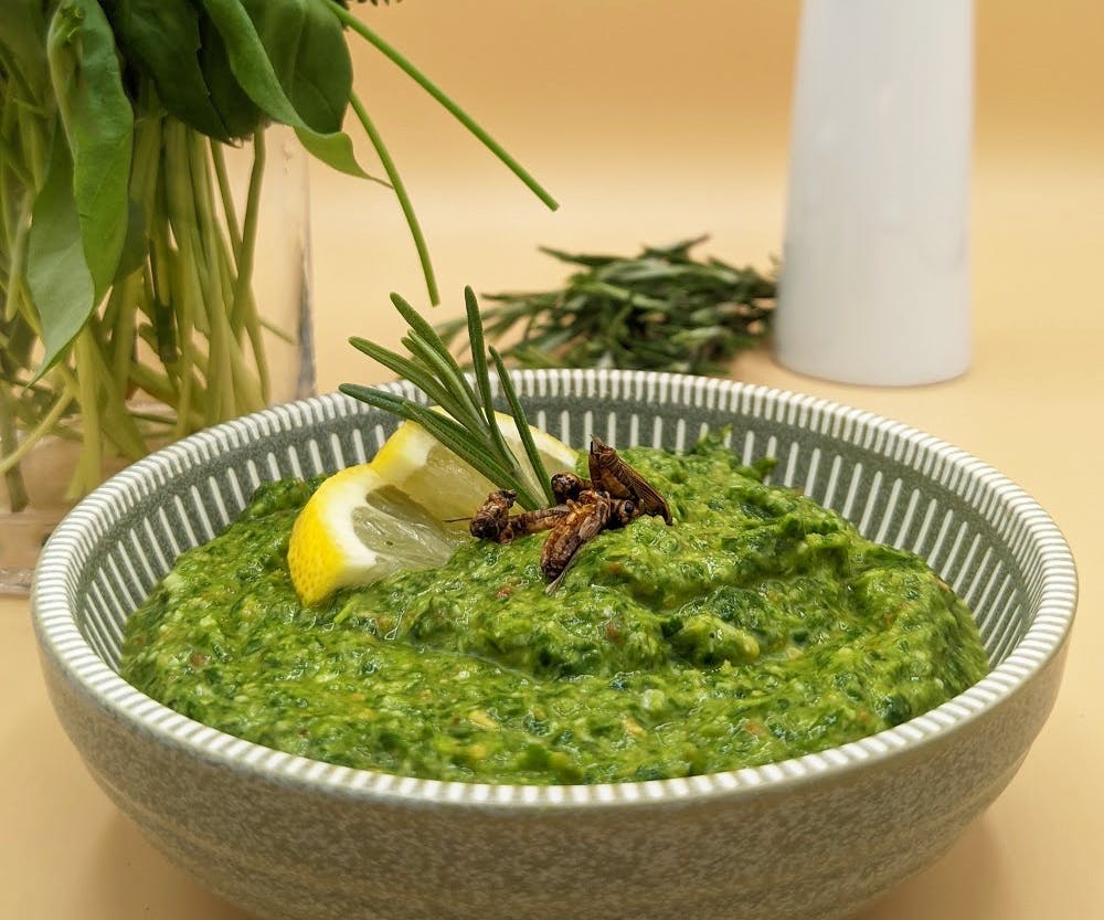Cricket Pesto in a bowl with herbs in the background