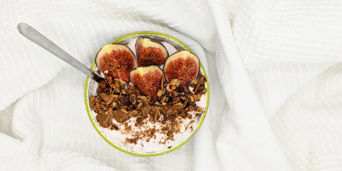Mealworm Granola brekky bowl on a blanket