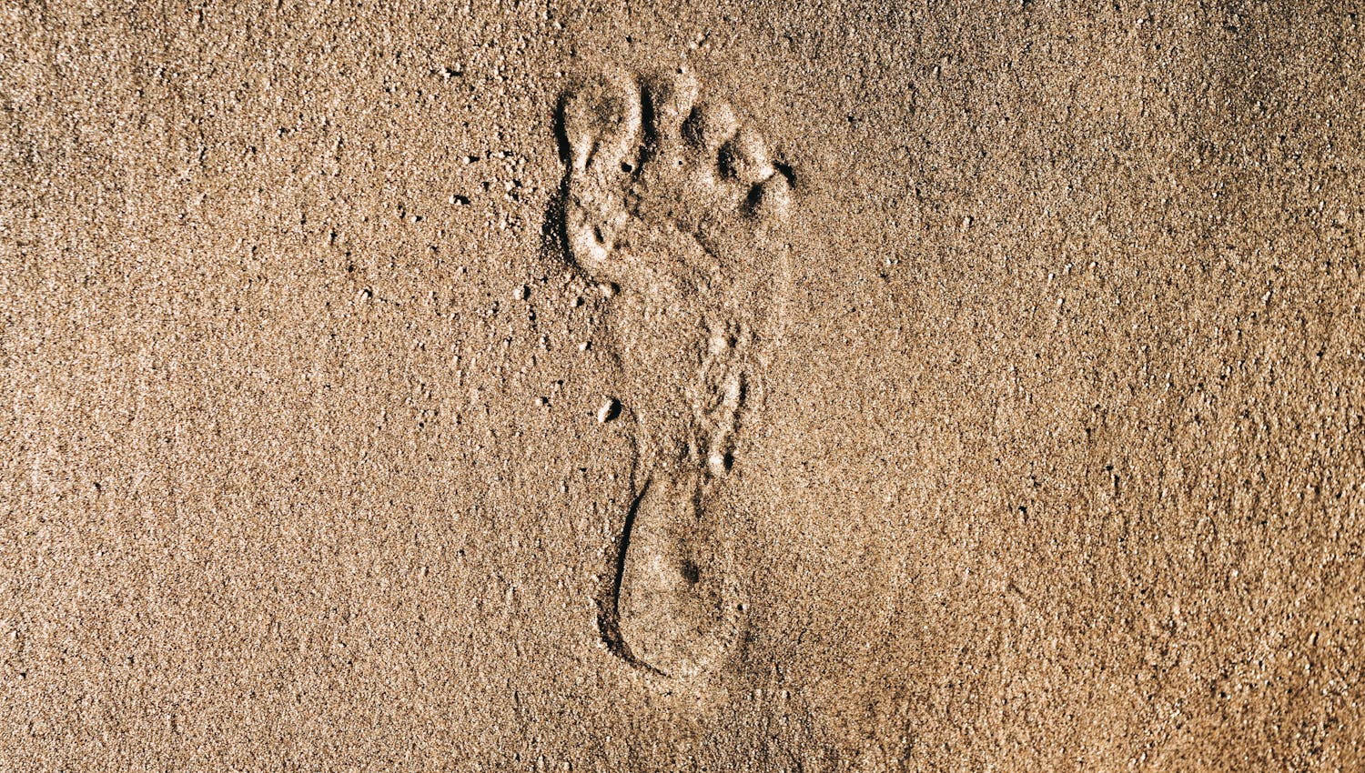 Footprint in the sand