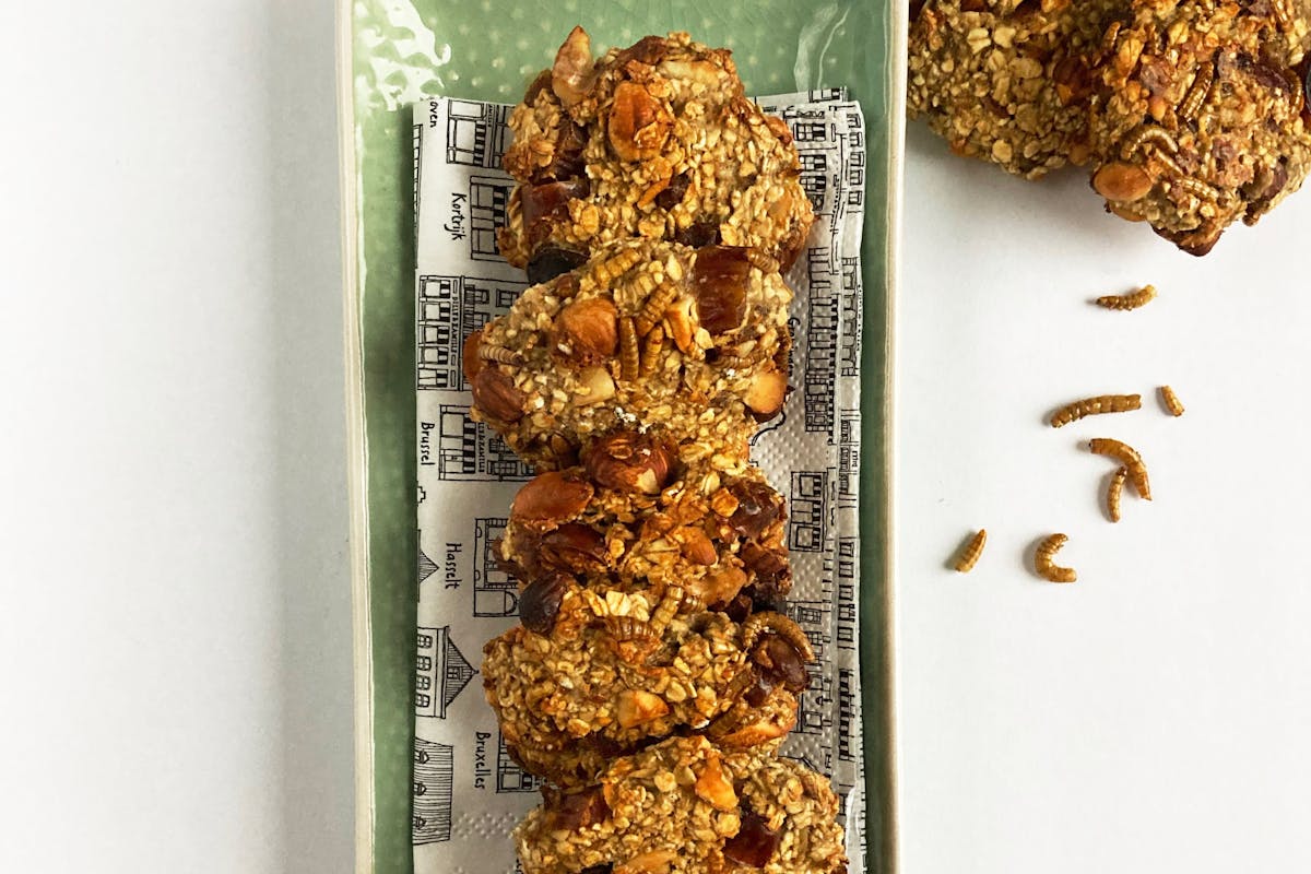 Top view of mealworm oatmeal cookies on a tray