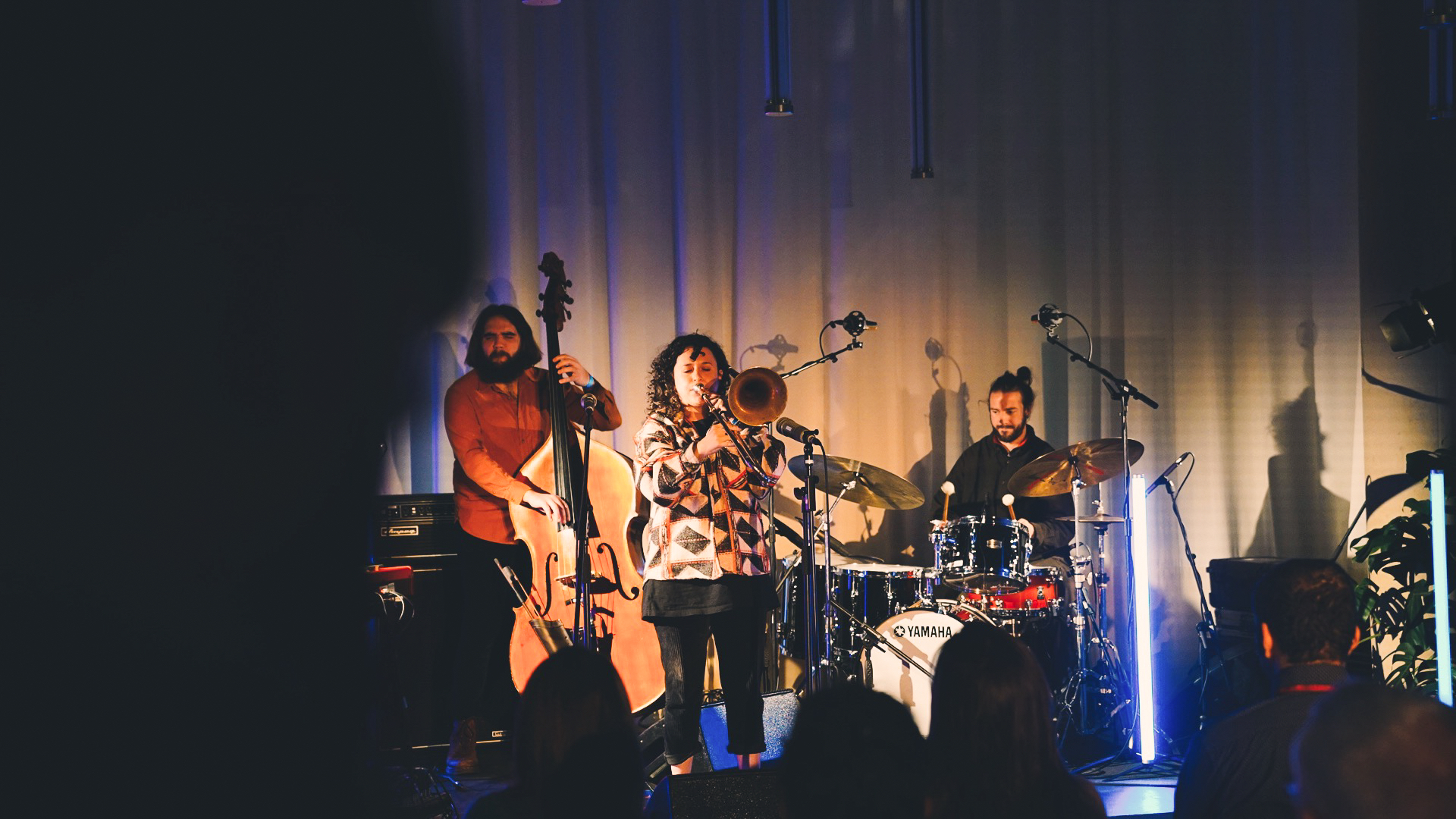 musicians