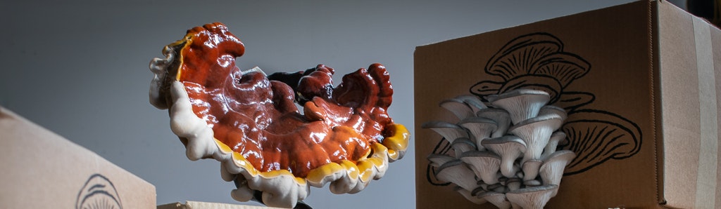 Ornaments made with mushrooms