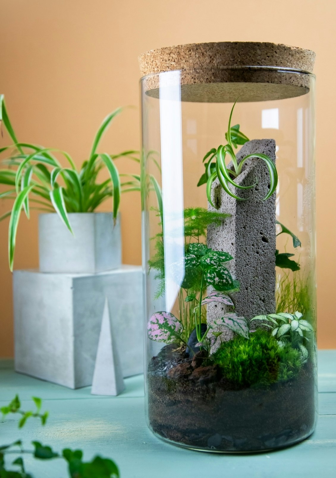 A plant in a glass tube with a cork lid