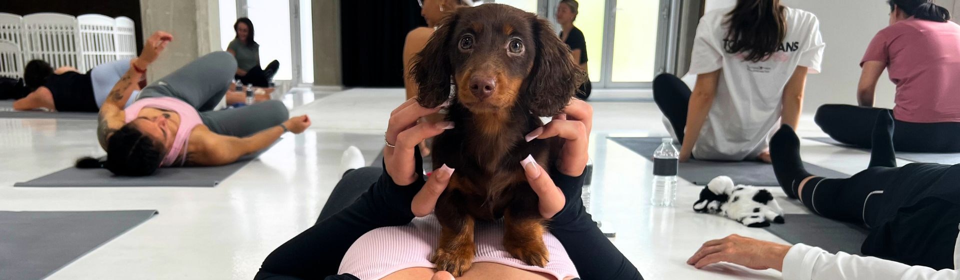 Woman laying on yoga mat in group yoga class with dog on top of her