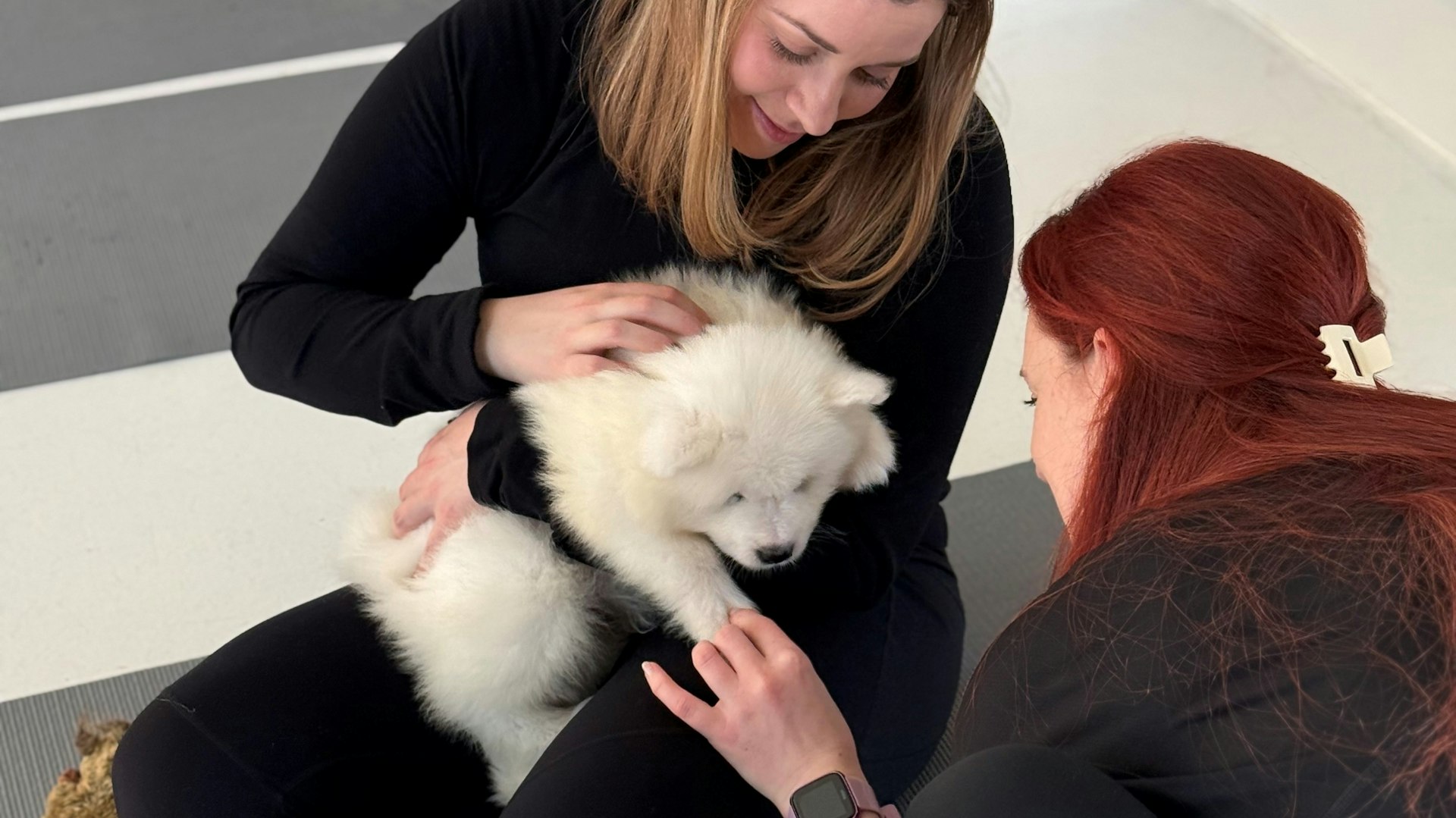 two women playing with fluffy white puppy on yoga mats