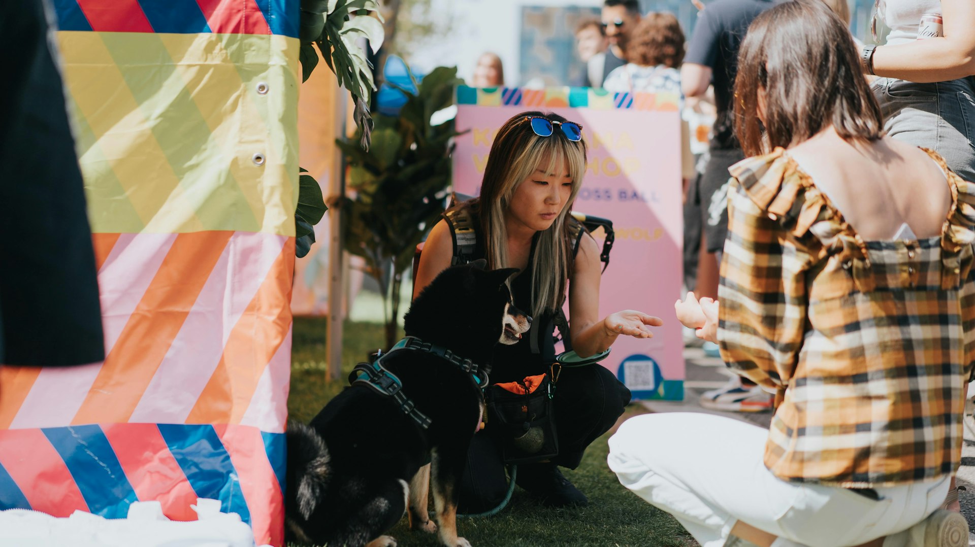 An owner holds out a treat for her dog