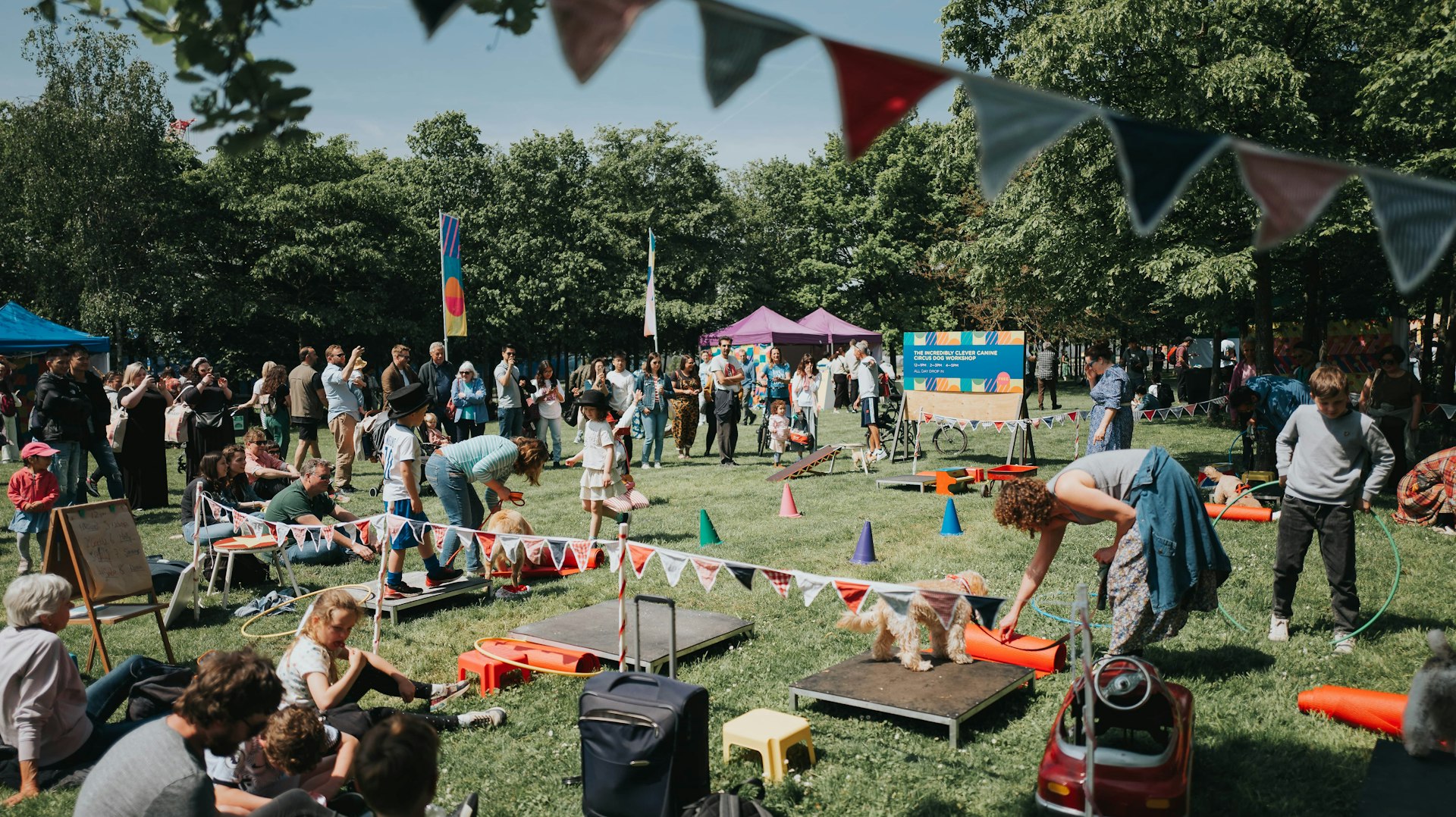 People watch the dogs run the training course