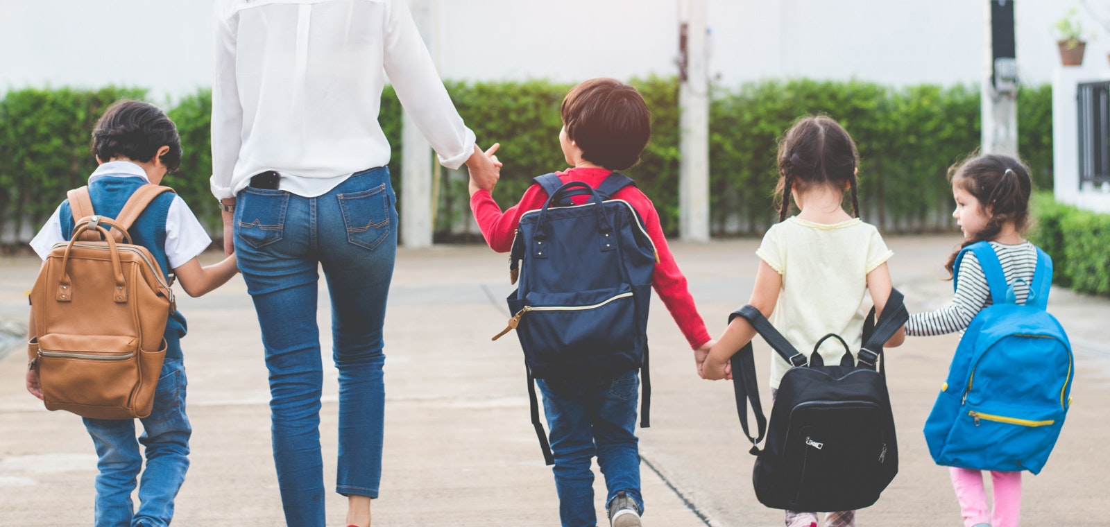 There are many schools located around Greenwich