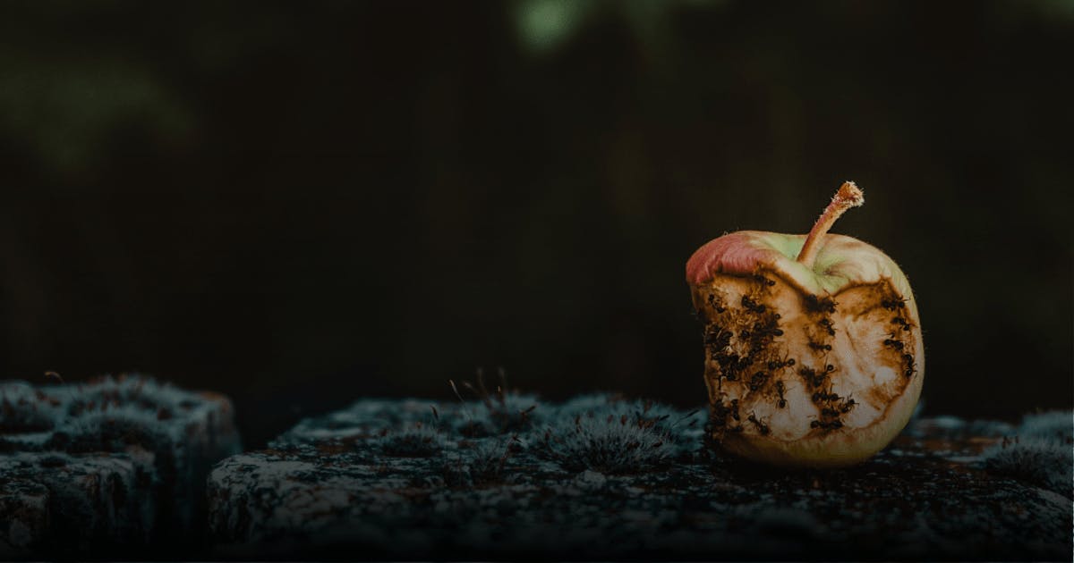 Blog background image