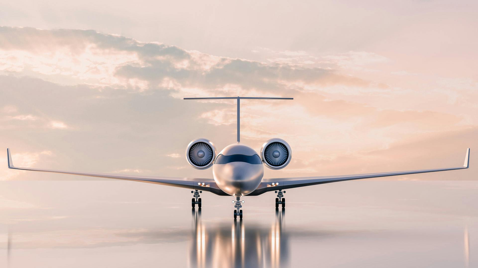 Choose a private charter to get your business associates to their destinations quickly and safely.