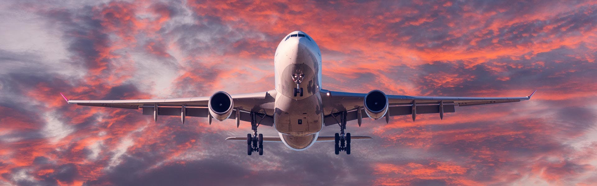 Elegir el avión que más le convenga a tu grupo hará que tu viaje sea aún más memorable.