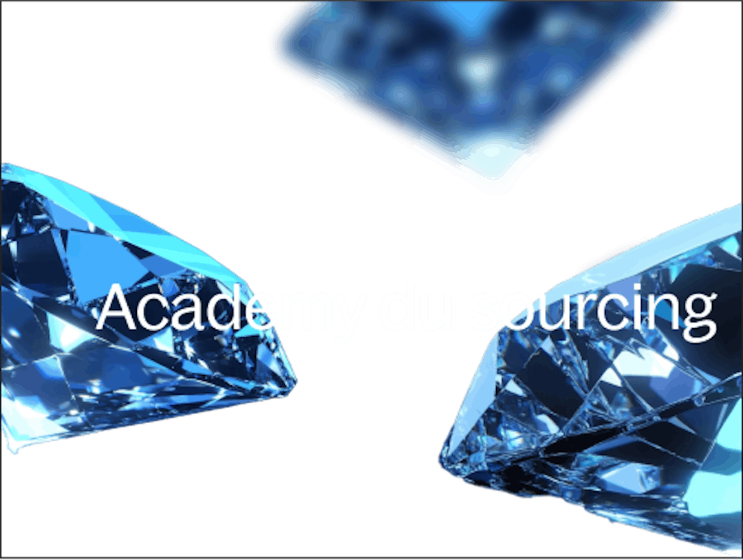 academy du sourcing