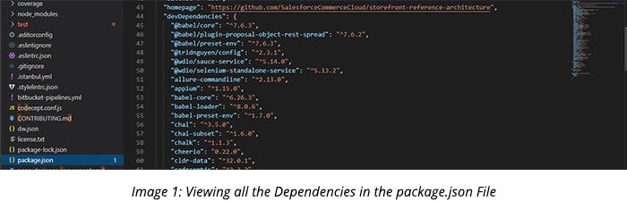 Viewing all the Dependencies in the package.json File