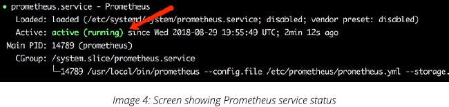 Screen showing Prometheus service status