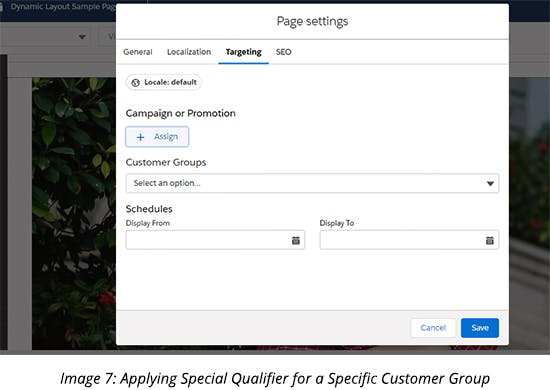 Applying Special Qualifier for a Specific Customer Group