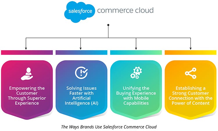 The Ways Brands Use Salesforce Commerce Cloud