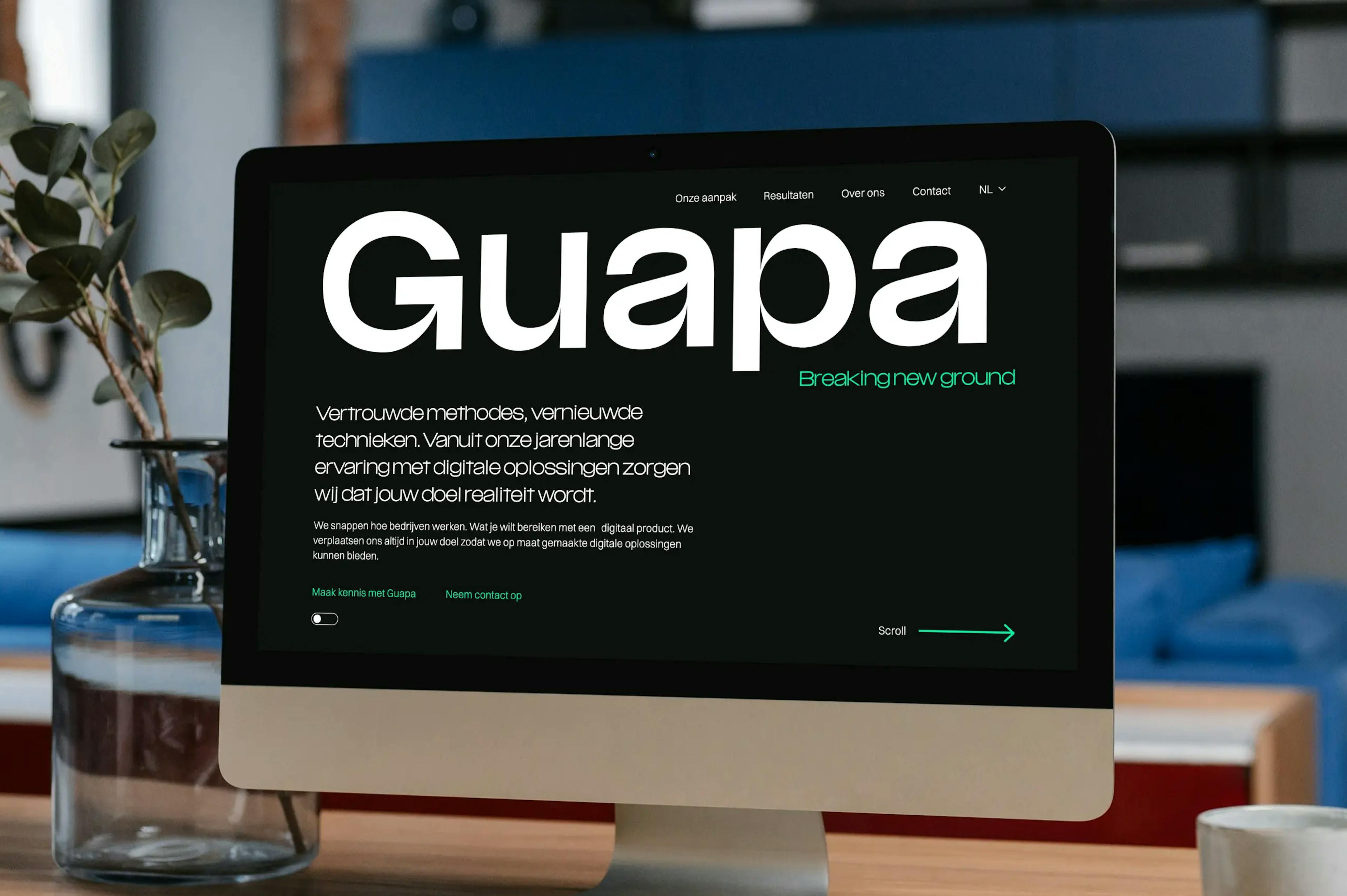 Guapa website