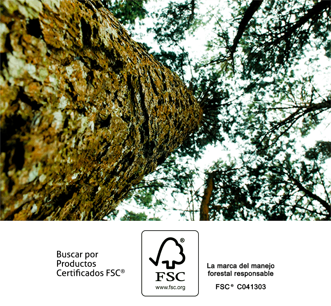 Certificación FSC®