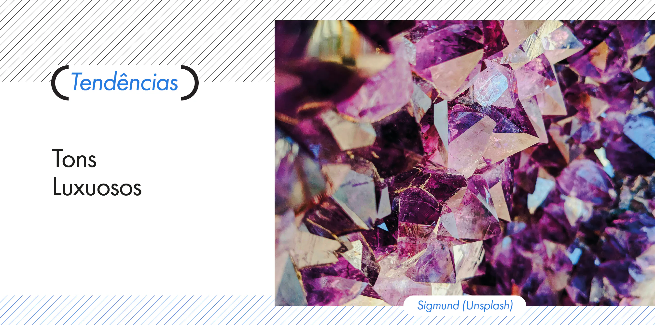 Tendências do Futuro: Tons Luxuosos