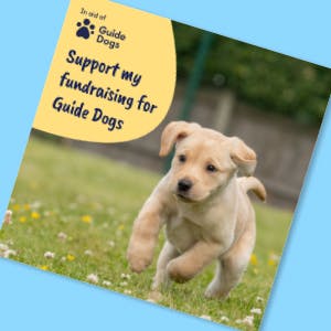 Picture of a social media image featuring a yellow Labrador guide dog puppy.