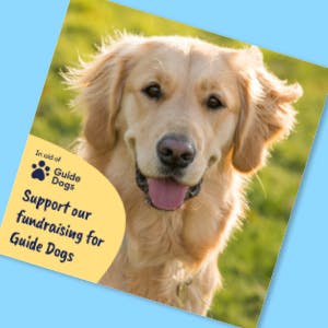 Picture of a social media image featuring a yellow Golden Retriever guide dog.