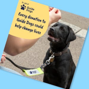 Picture of a social media image featuring a black Labrador guide dog.