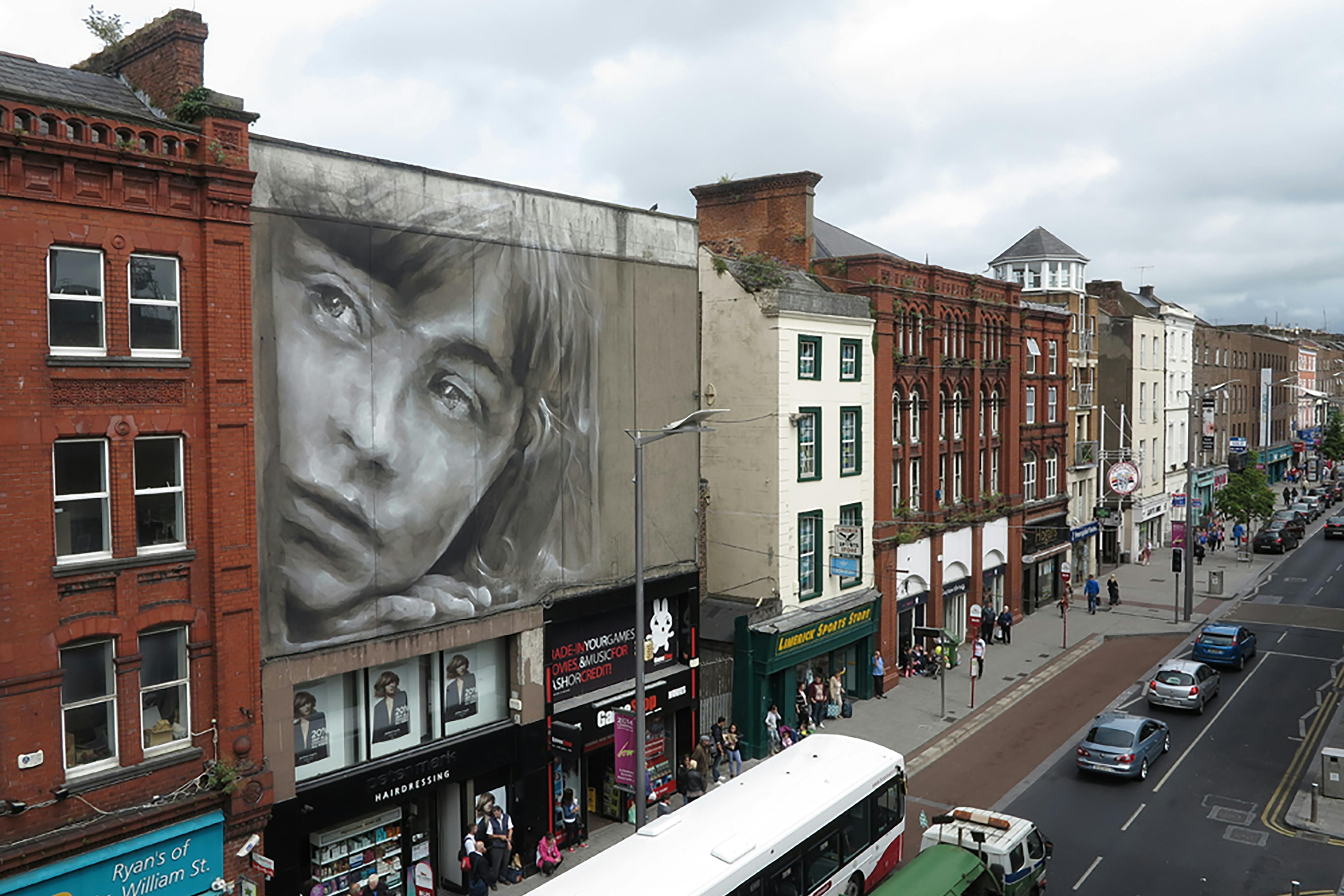 Completed Work Limerick, Ireland. July 2014 Photograph: Guido van Helten
