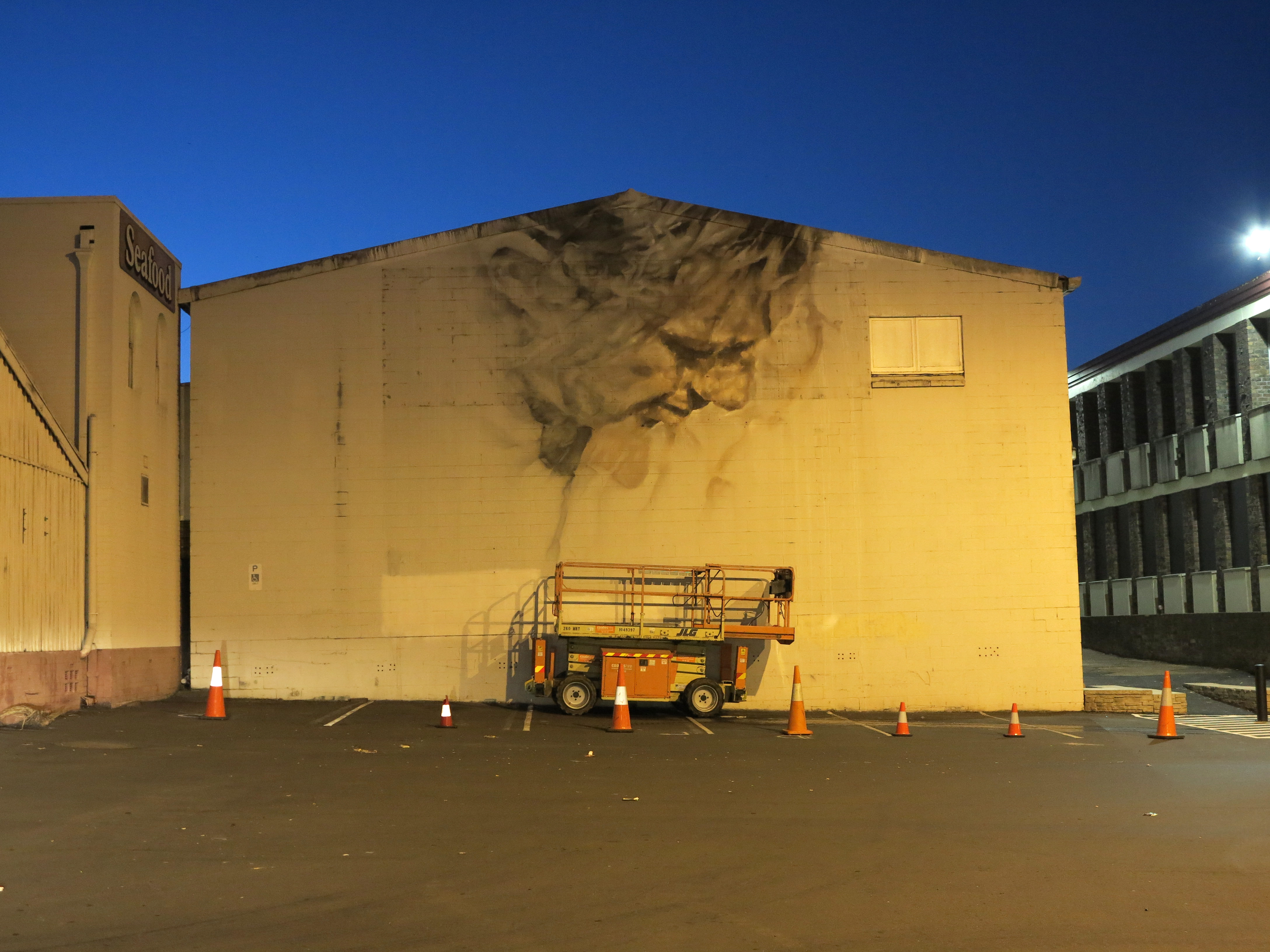 Work in Progress Nowra, New South Wales,&nbsp;Australia. December 2014 Photograph: Guido van Helten