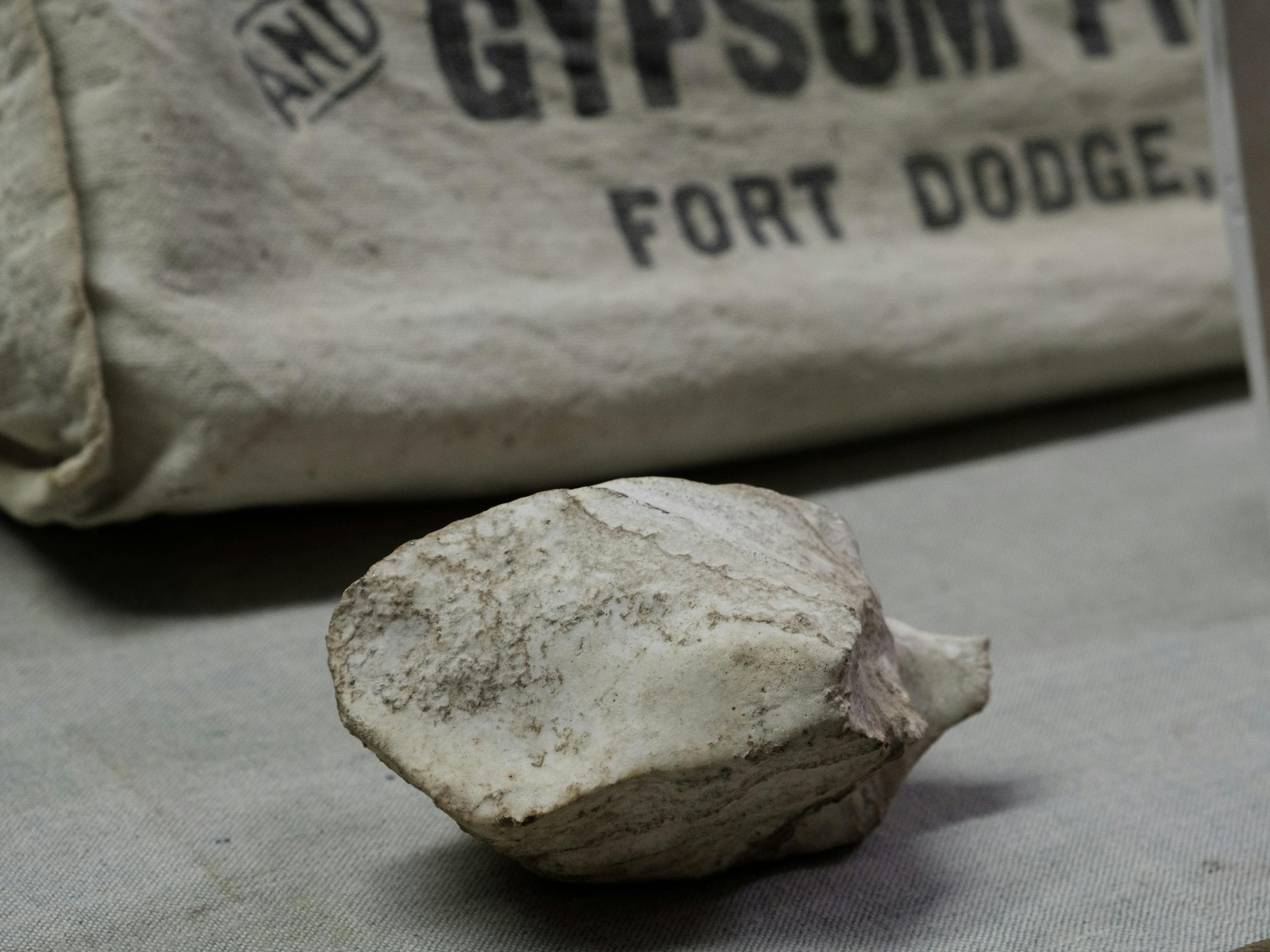 Memorabilia at the Fort Museum, Fort Dodge, Iowa, USA. September 2018 Photograph: Guido van Helten