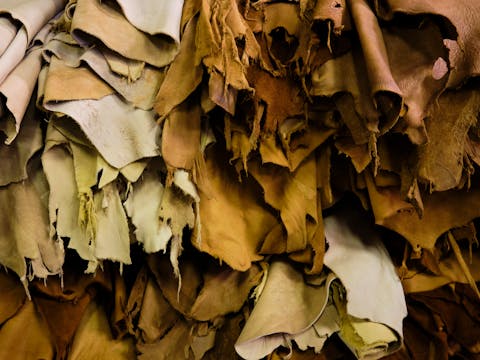 Tanned and cured Leather at Buckskin Leather Supply Calgary, Alberta, Canada. September 2019 Photograph: Guido van Helten