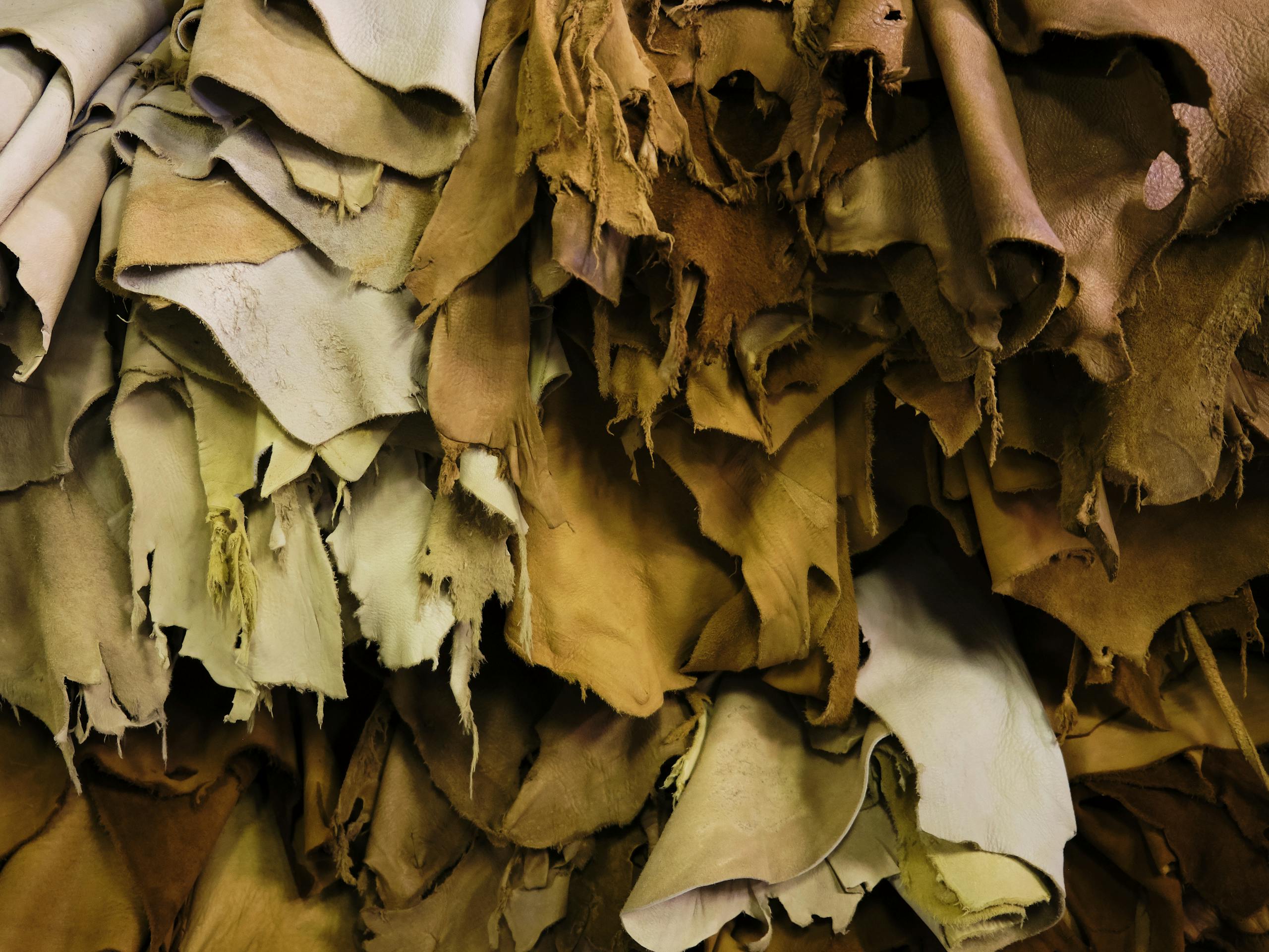 Tanned and cured Leather at Buckskin Leather Supply Calgary, Alberta, Canada. September 2019 Photograph: Guido van Helten