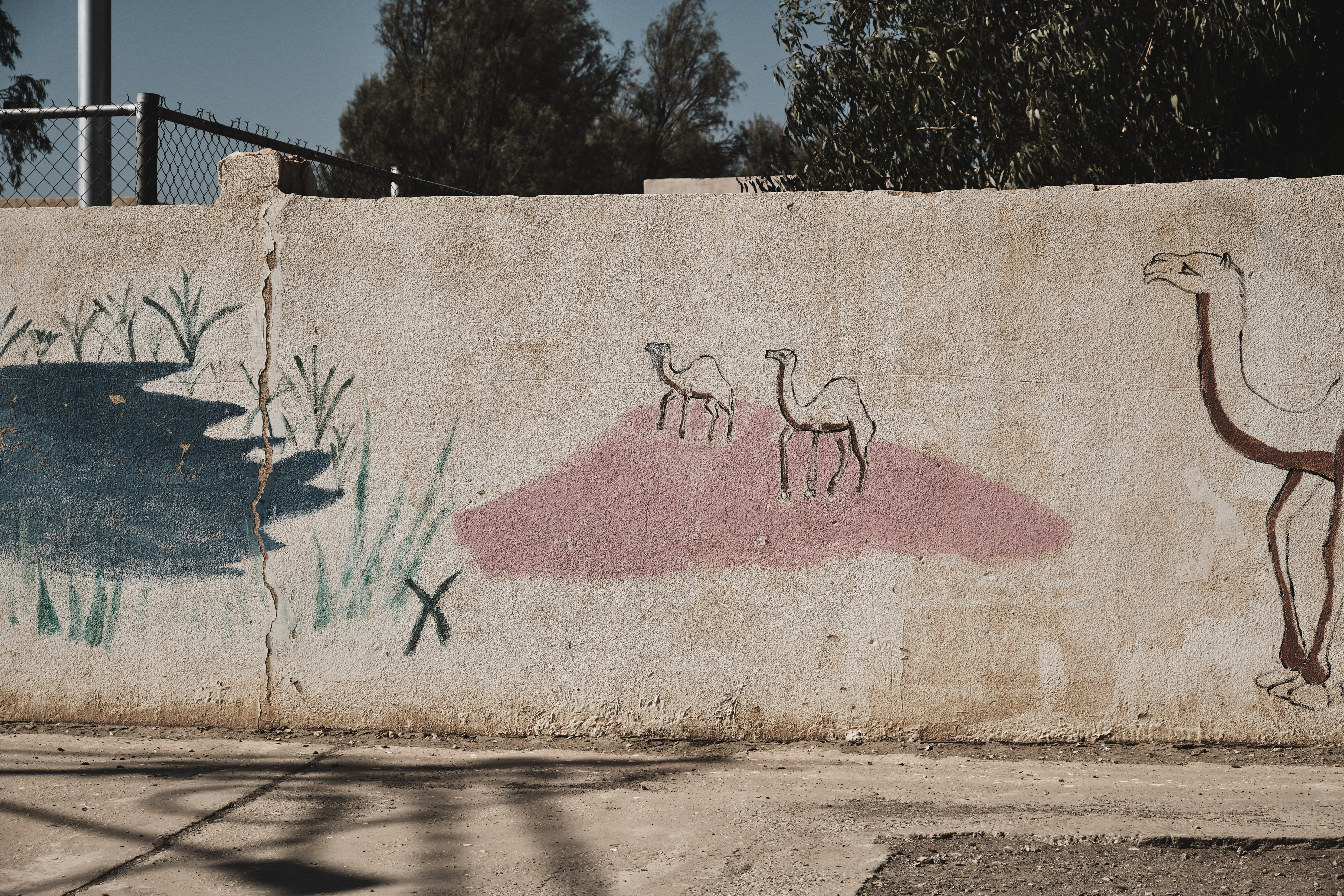 An aging painted mural of the wetland habitat, Azraq, Jordan. August 2019 Photograph: Guido van Helten