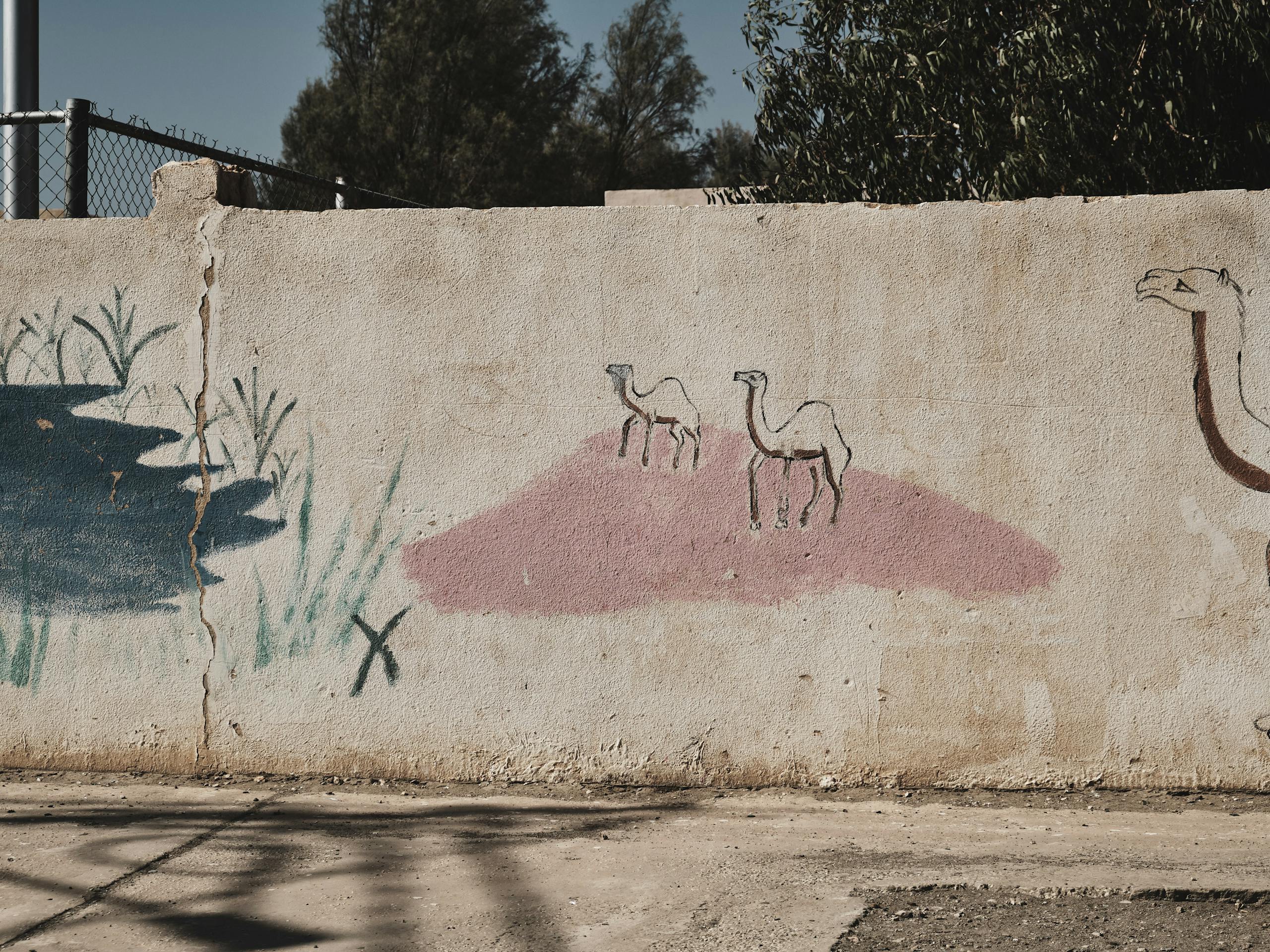 An aging painted mural of the wetland habitat, Azraq, Jordan. August 2019 Photograph: Guido van Helten