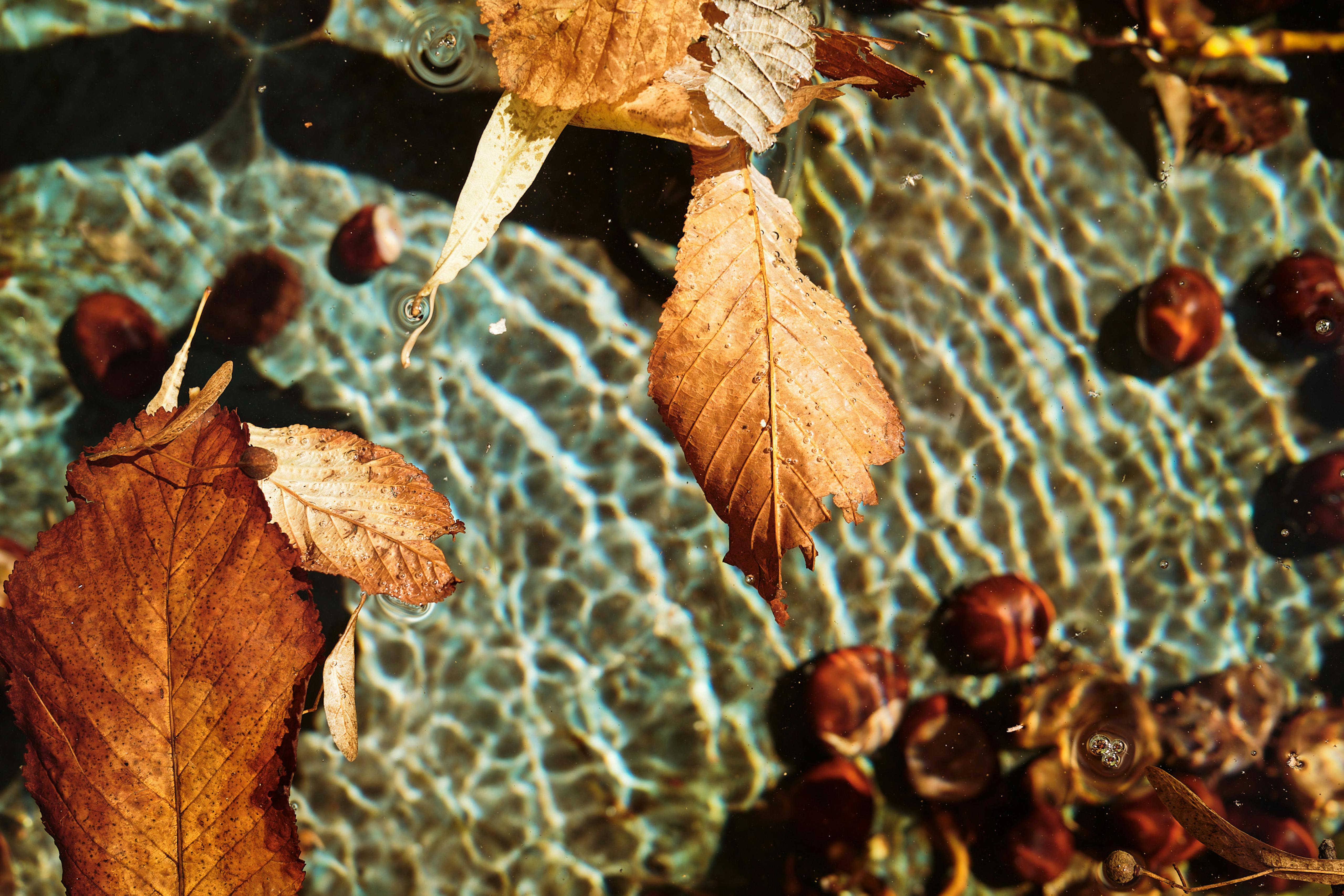 Colour studies - Fountains of Martigny, Switzerland. October 2021