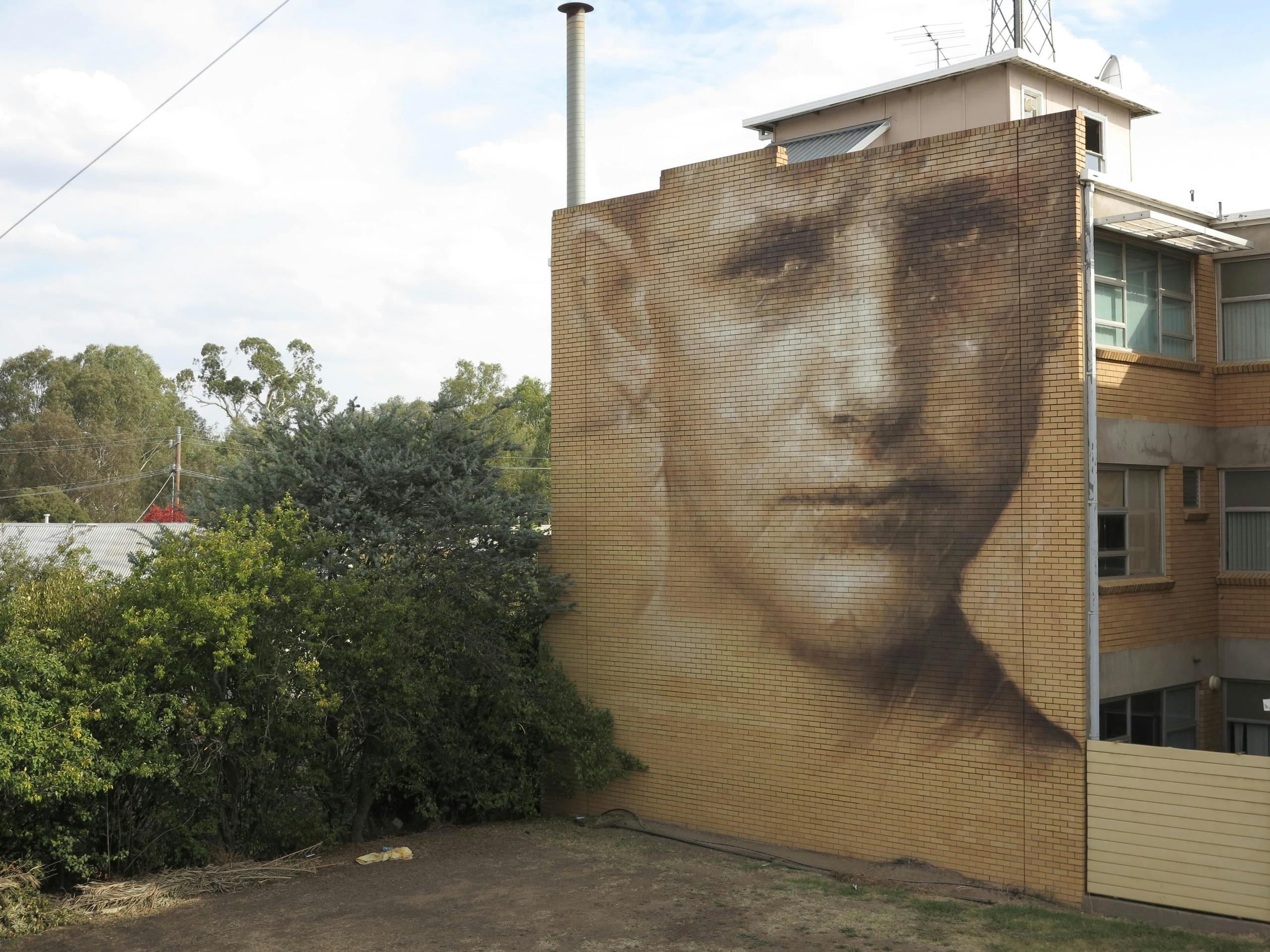 Wall to Wall Benalla, Victoria, Australia. March 2015 Photograph: Guido van Helten