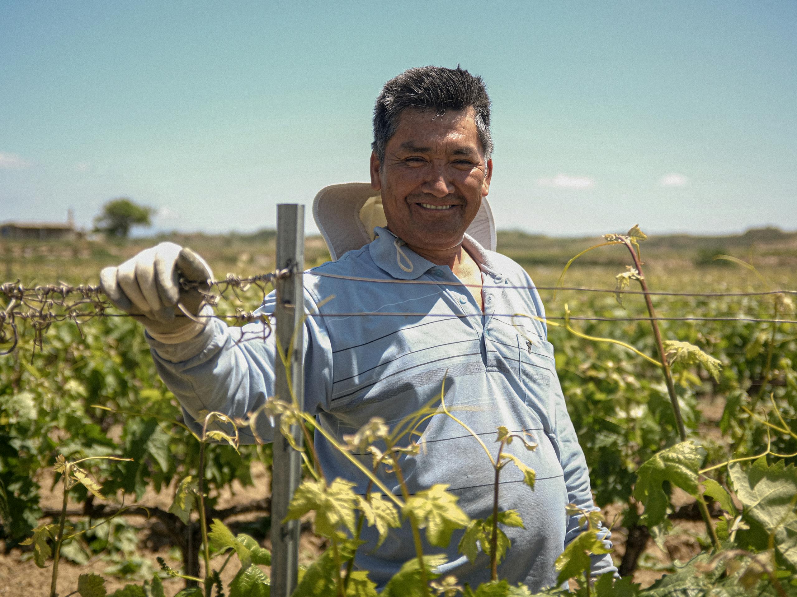 Vineyard worker from Ecuador Rioja Alavesa, Spain. July 2016 Photograph: Guido van Helten