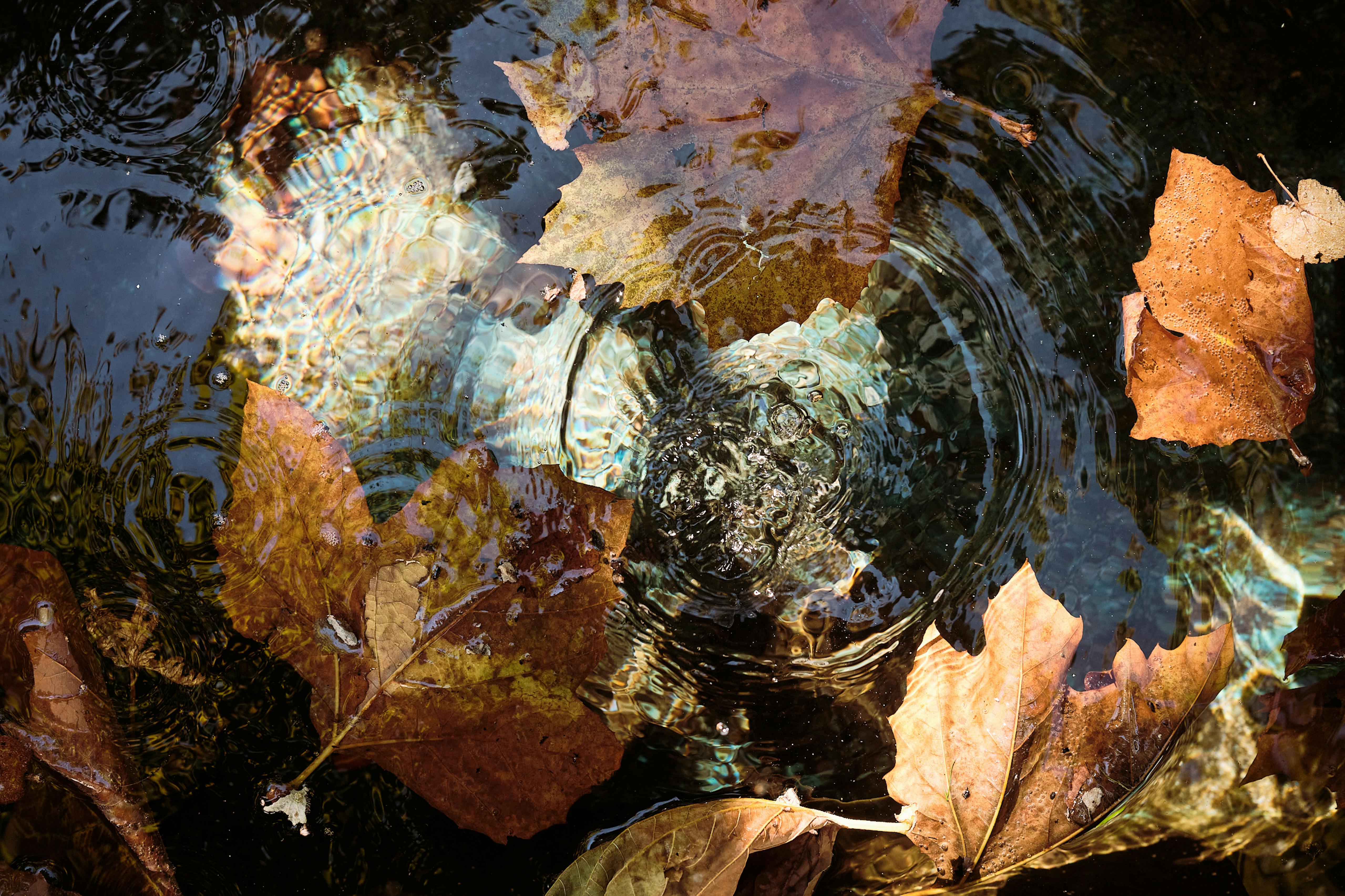 Colour studies - Fountains of Martigny, Switzerland. October 2021