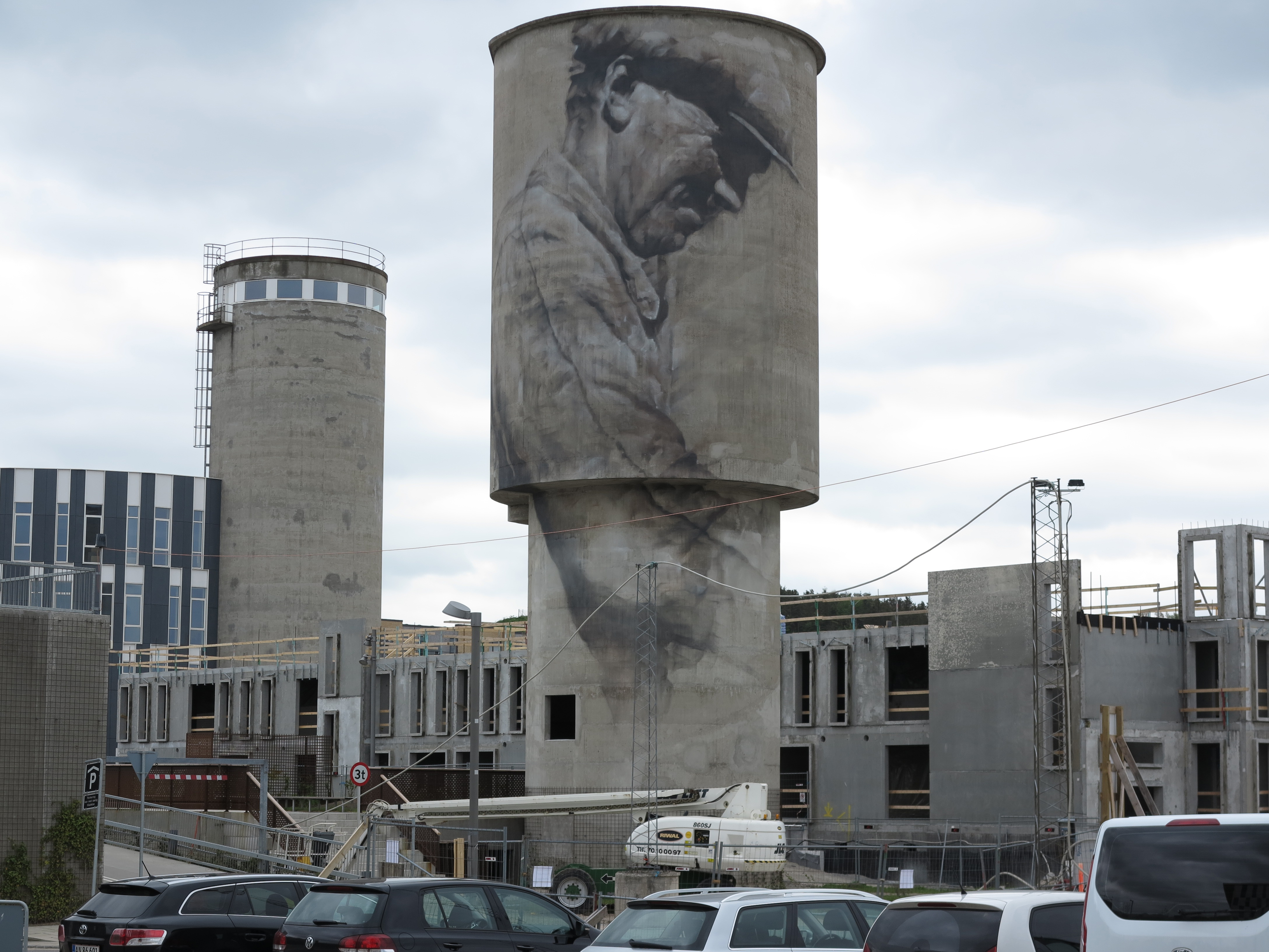 Completed work for Out in the Open Aalborg, Denmark 2015 Photograph: Guido van Helten