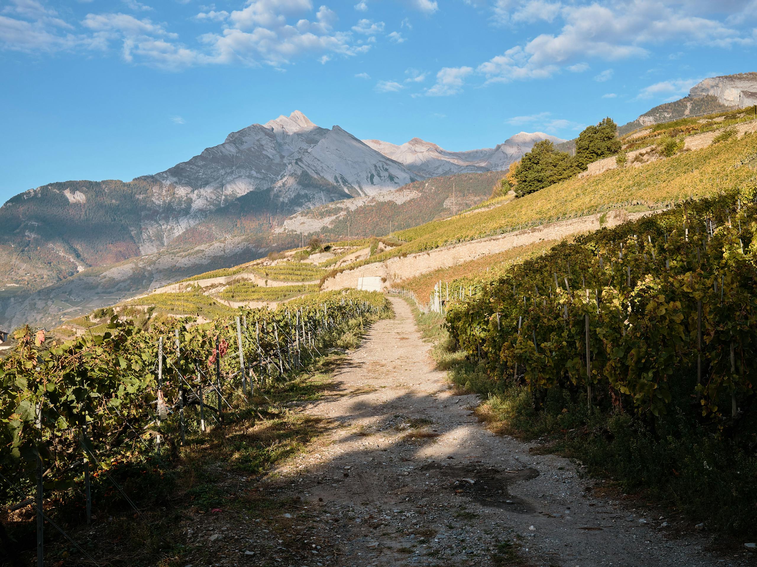 Colour studies of the Valais region - Residency at Domaine du Mont d'Or, Canton of Valais/Wallis, Switzerland. October 2021