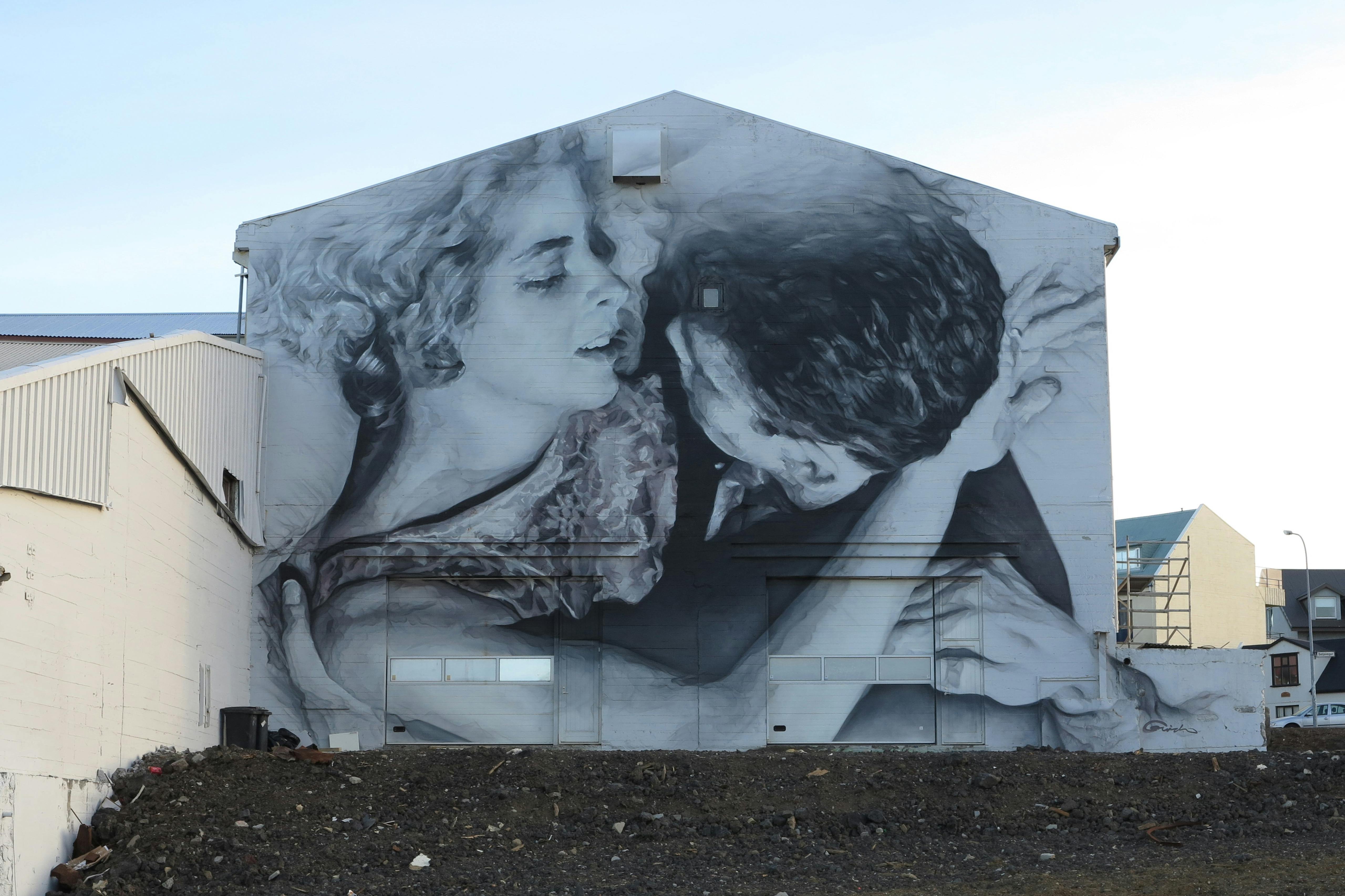 Feature wall for No Exit Reykjavík, Iceland. January 2014 Photograph: Guido van Helten