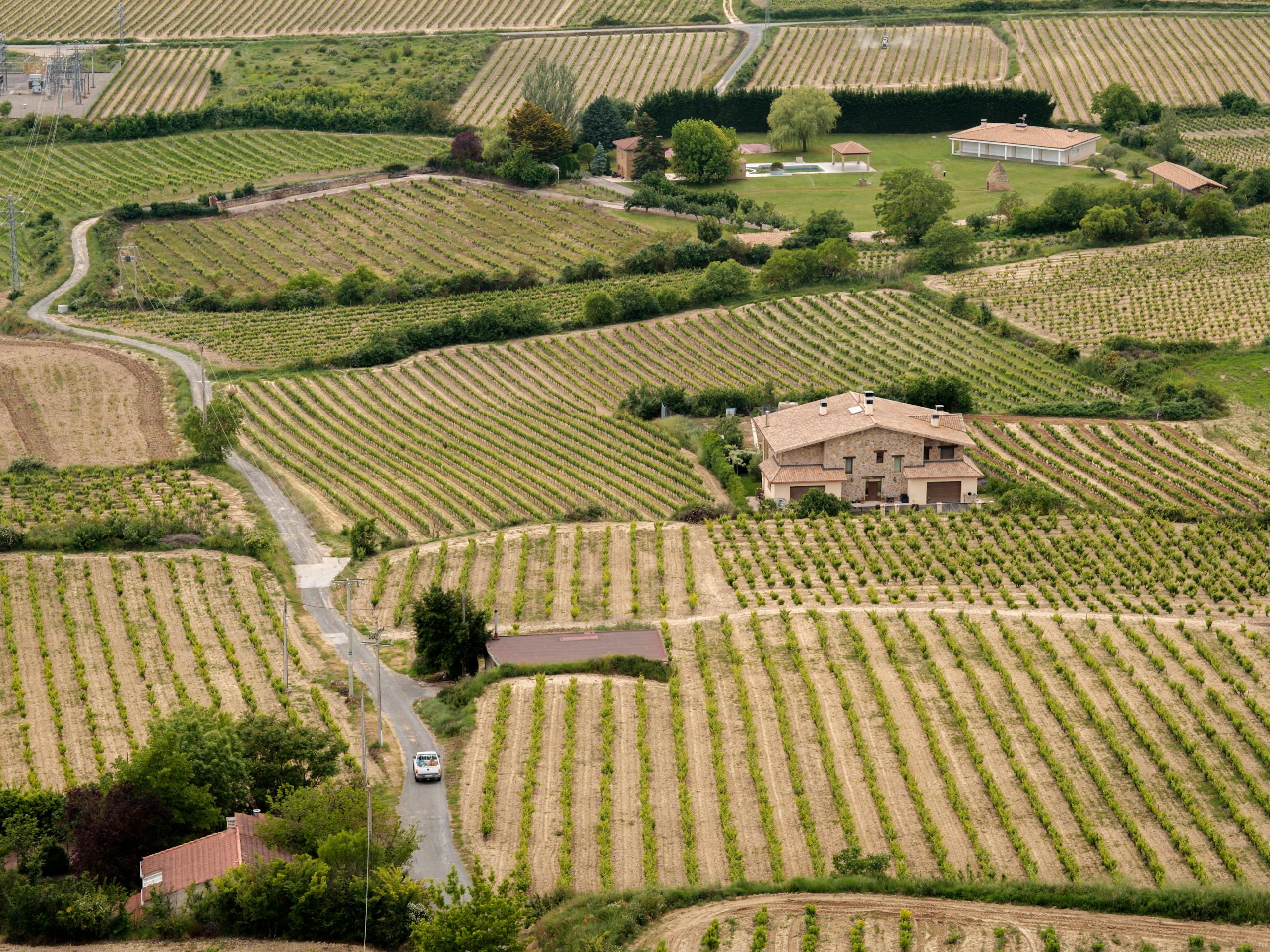 Landscape Rioja Alavesa, Spain. July 2016 Photograph: Guido van Helten