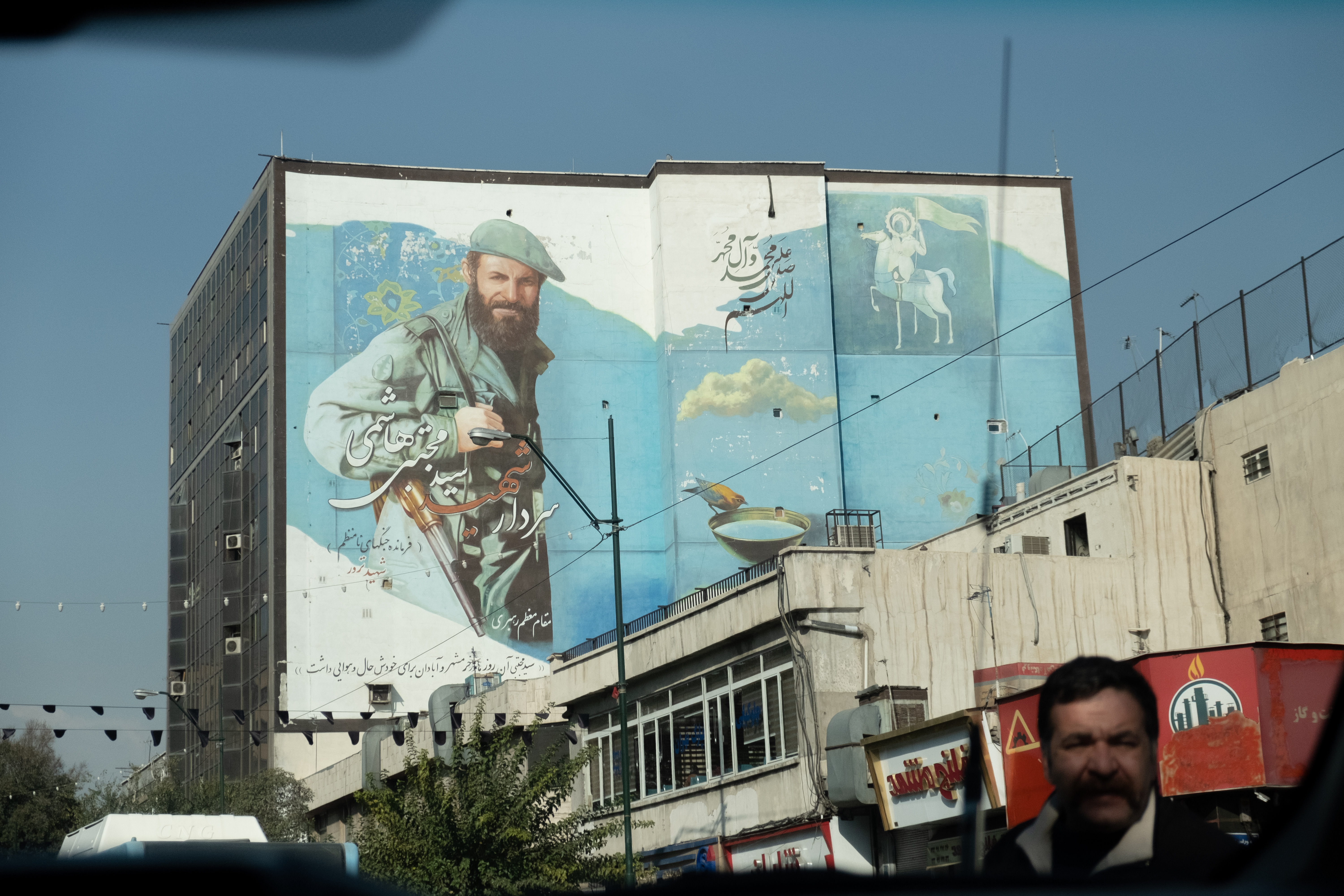 Mural for a fallen Martyr Tehran, Iran. November 2018 Photograph: Guido van Helten