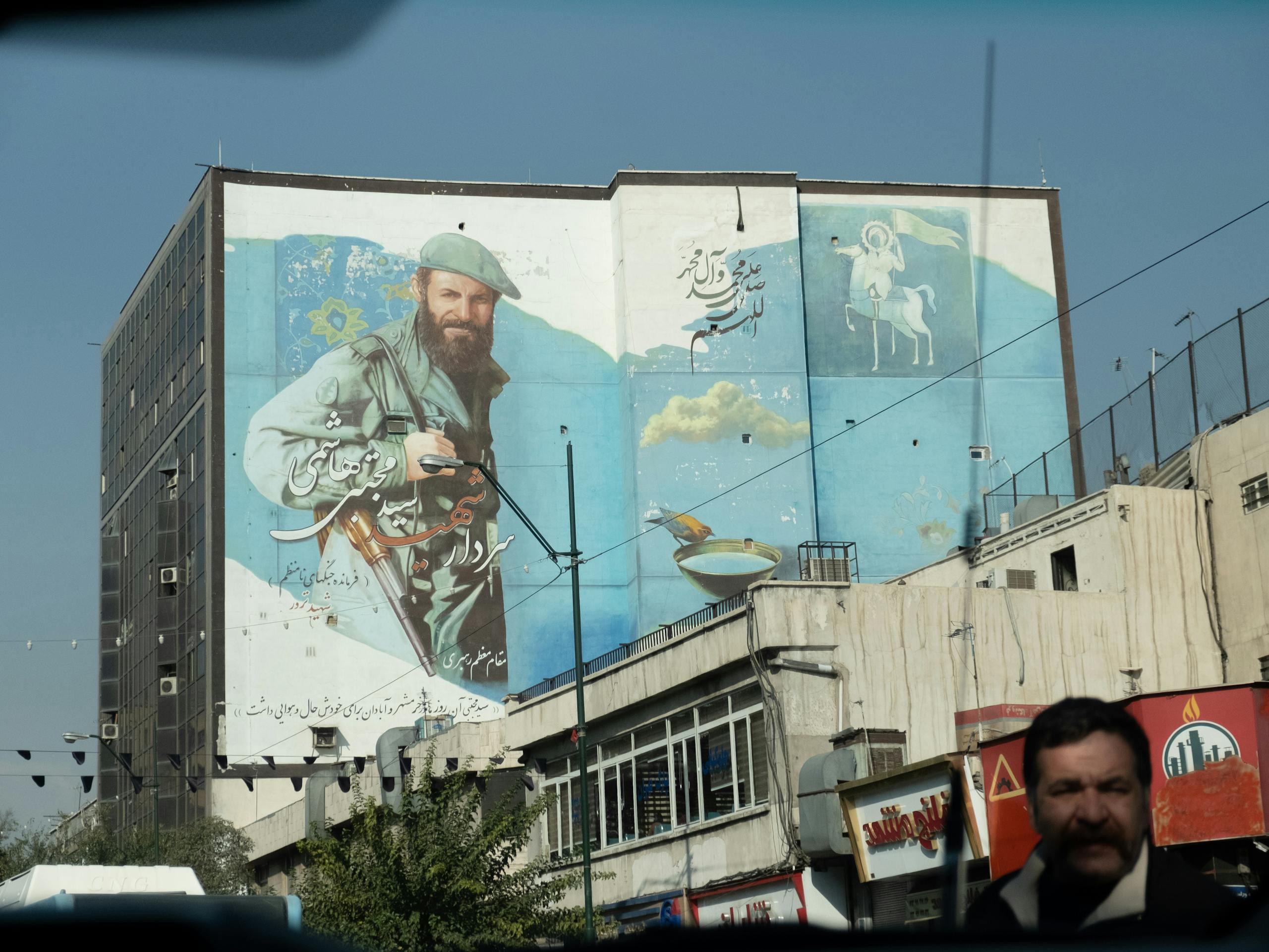 Mural for a fallen Martyr Tehran, Iran. November 2018 Photograph: Guido van Helten