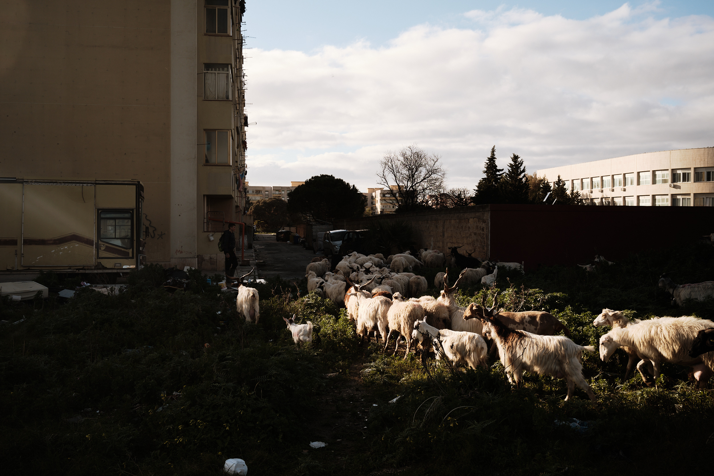 Institute of Public Housing ICP at Trapani-Milo, Sicily. January 2021
