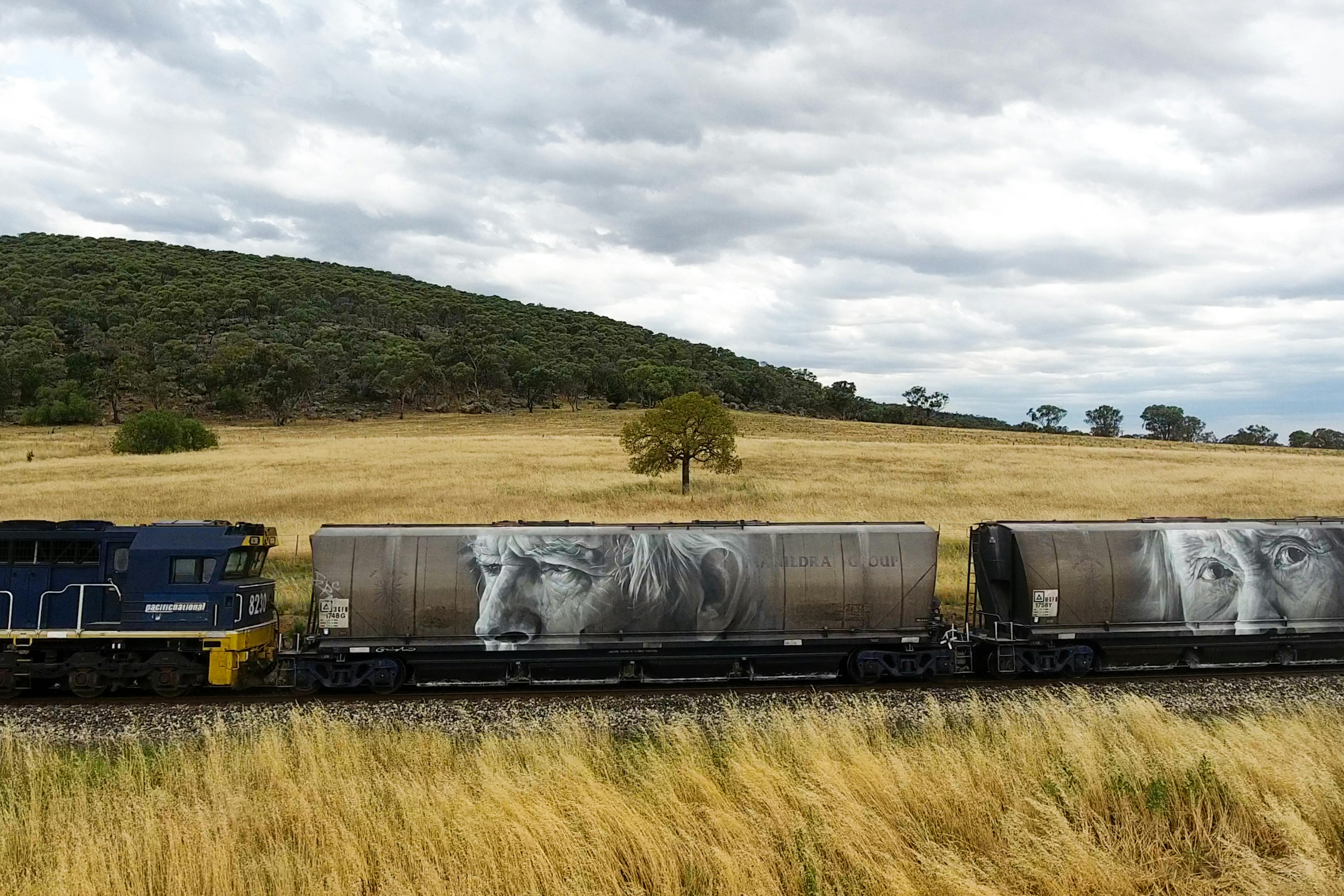 Wagons leaving the central west, Manildra, NSW, Australia. December 2016 Photograph: Selina Miles