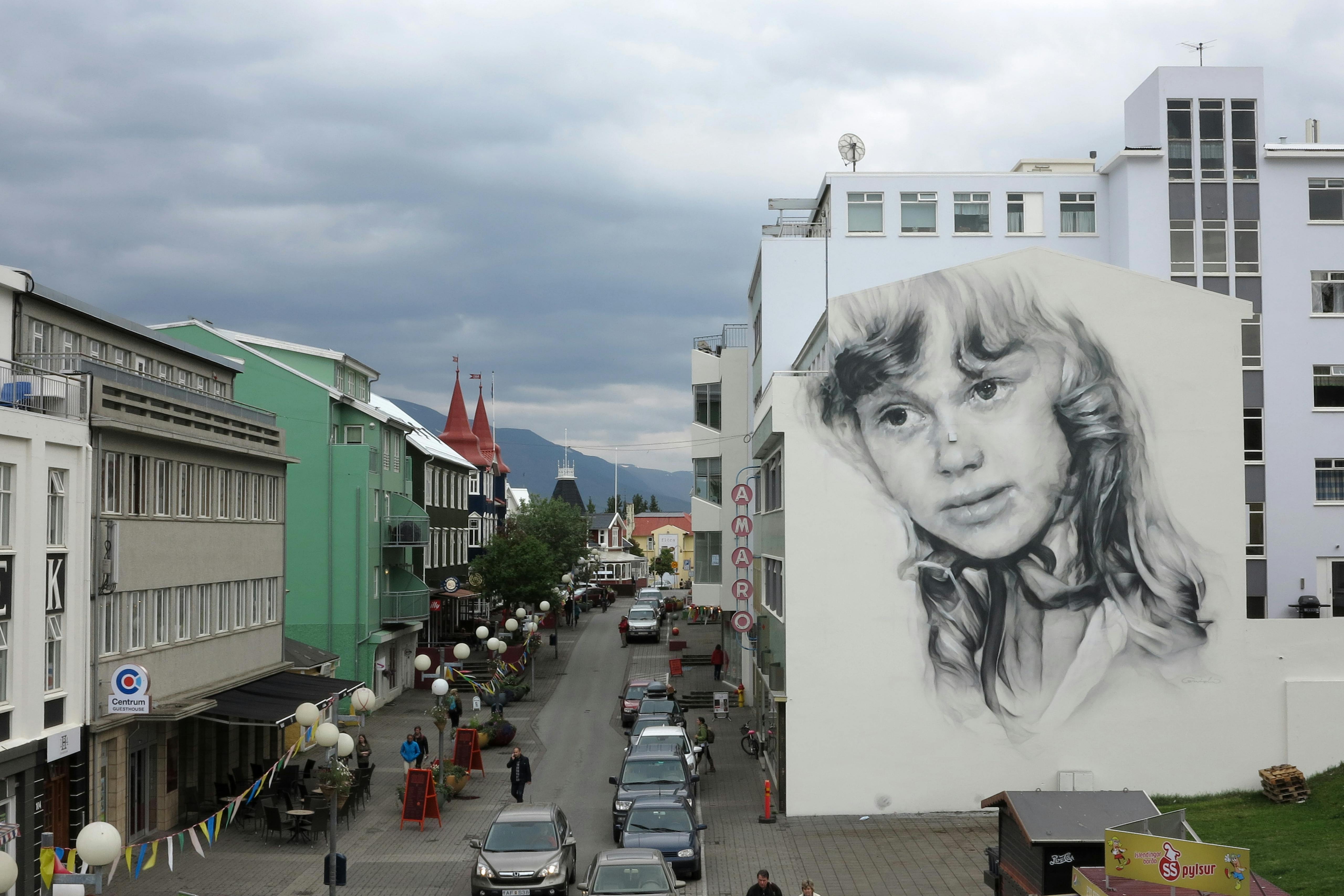 'Sia' painted for Akureyrarvaka. Akureyri, Iceland. August 2014 Photograph: Guido van Helten
